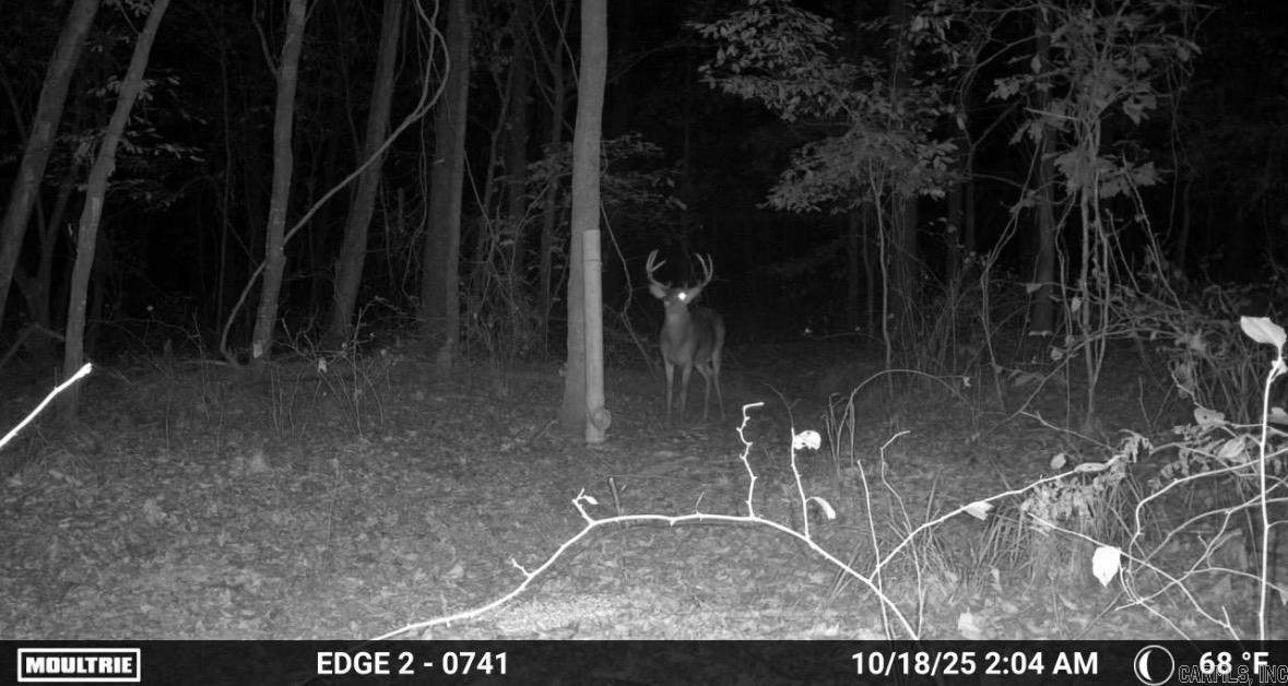 360 W Rowell  Rison, AR