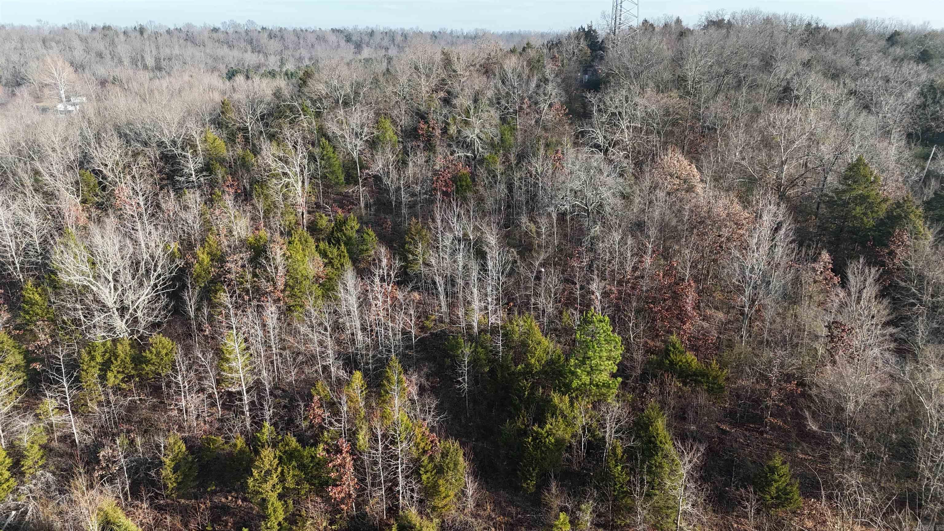 905 Fallen Tree  Marshall, AR