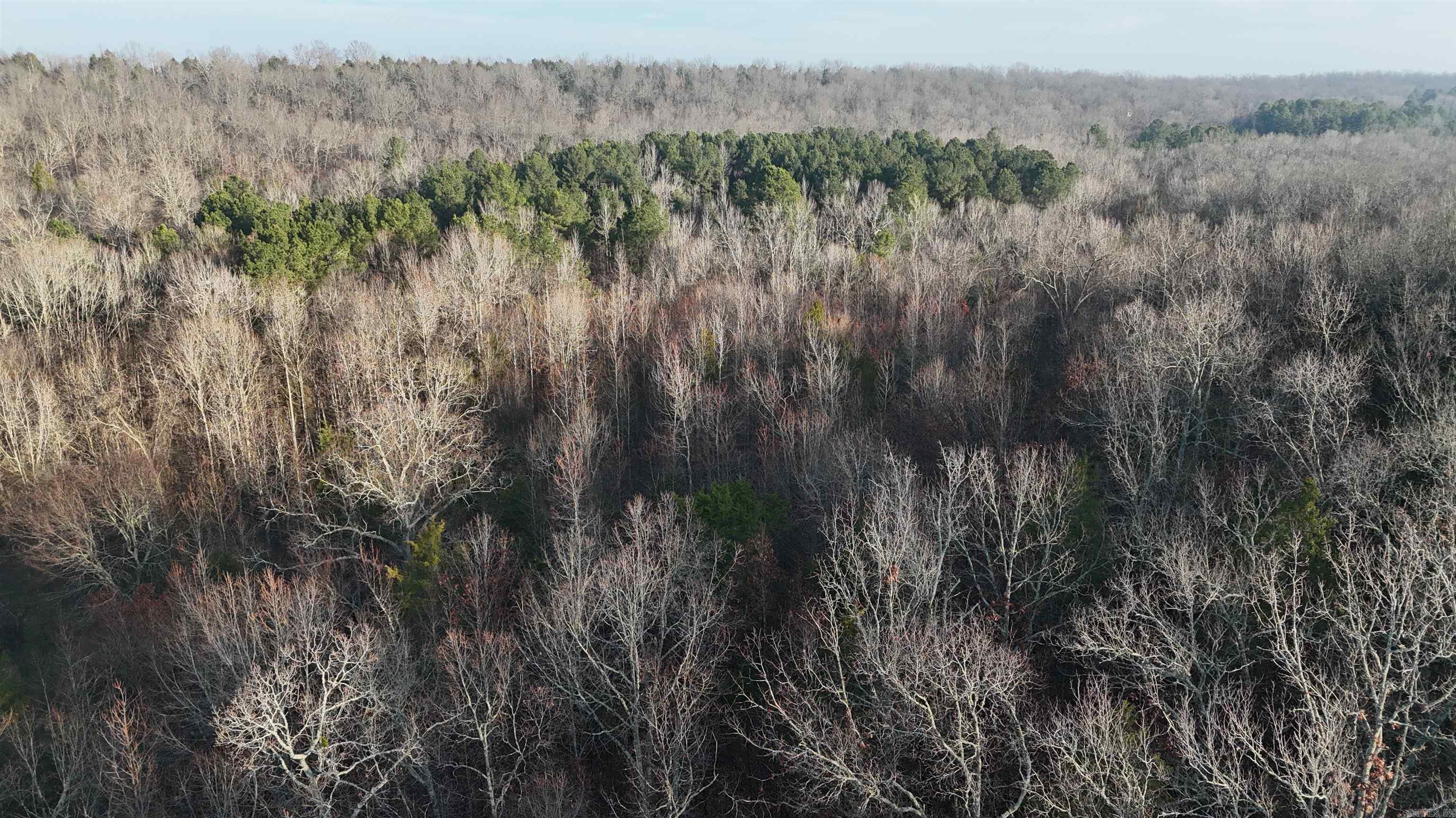 905 Fallen Tree  Marshall, AR