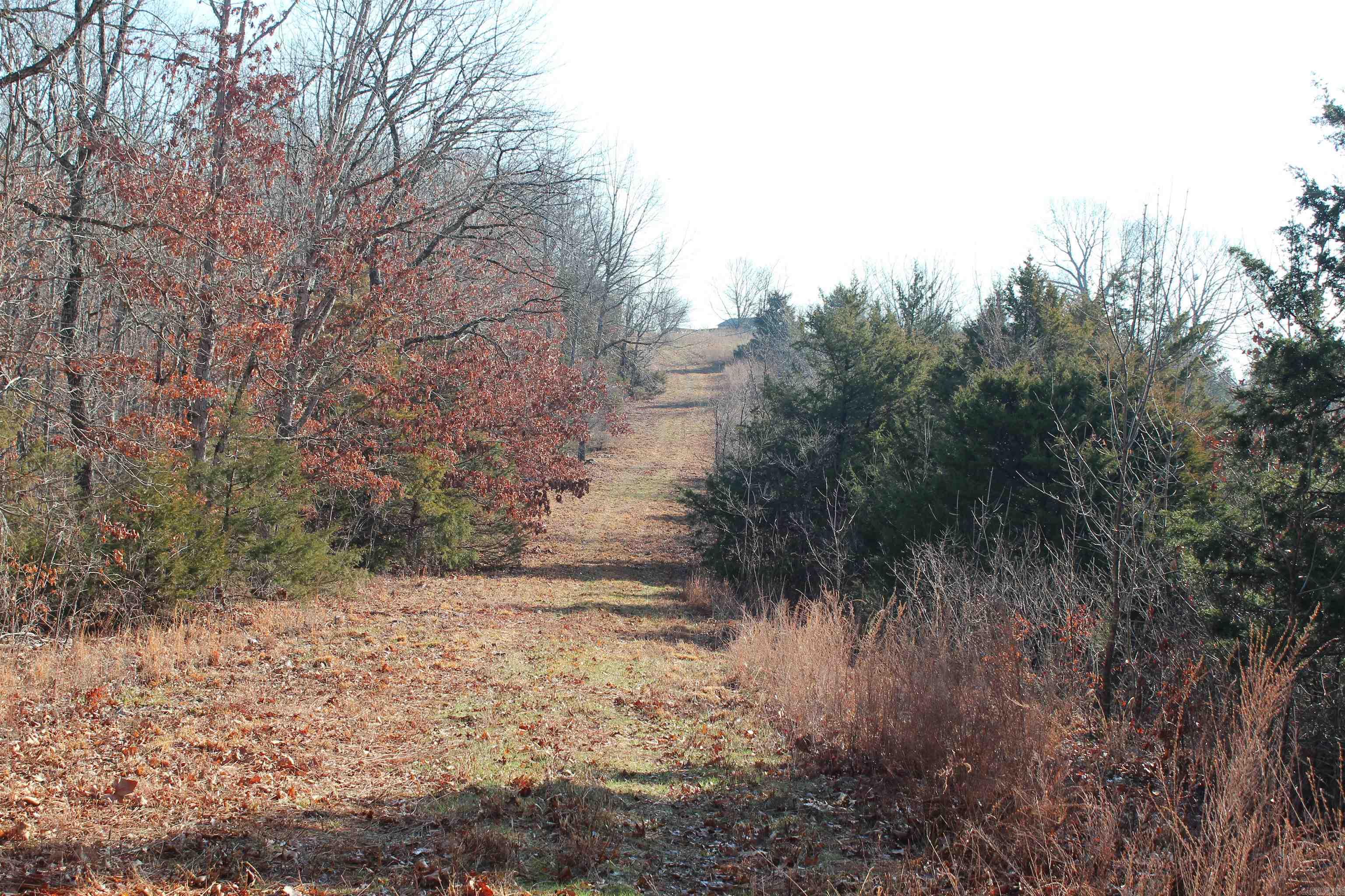 905 Fallen Tree  Marshall, AR