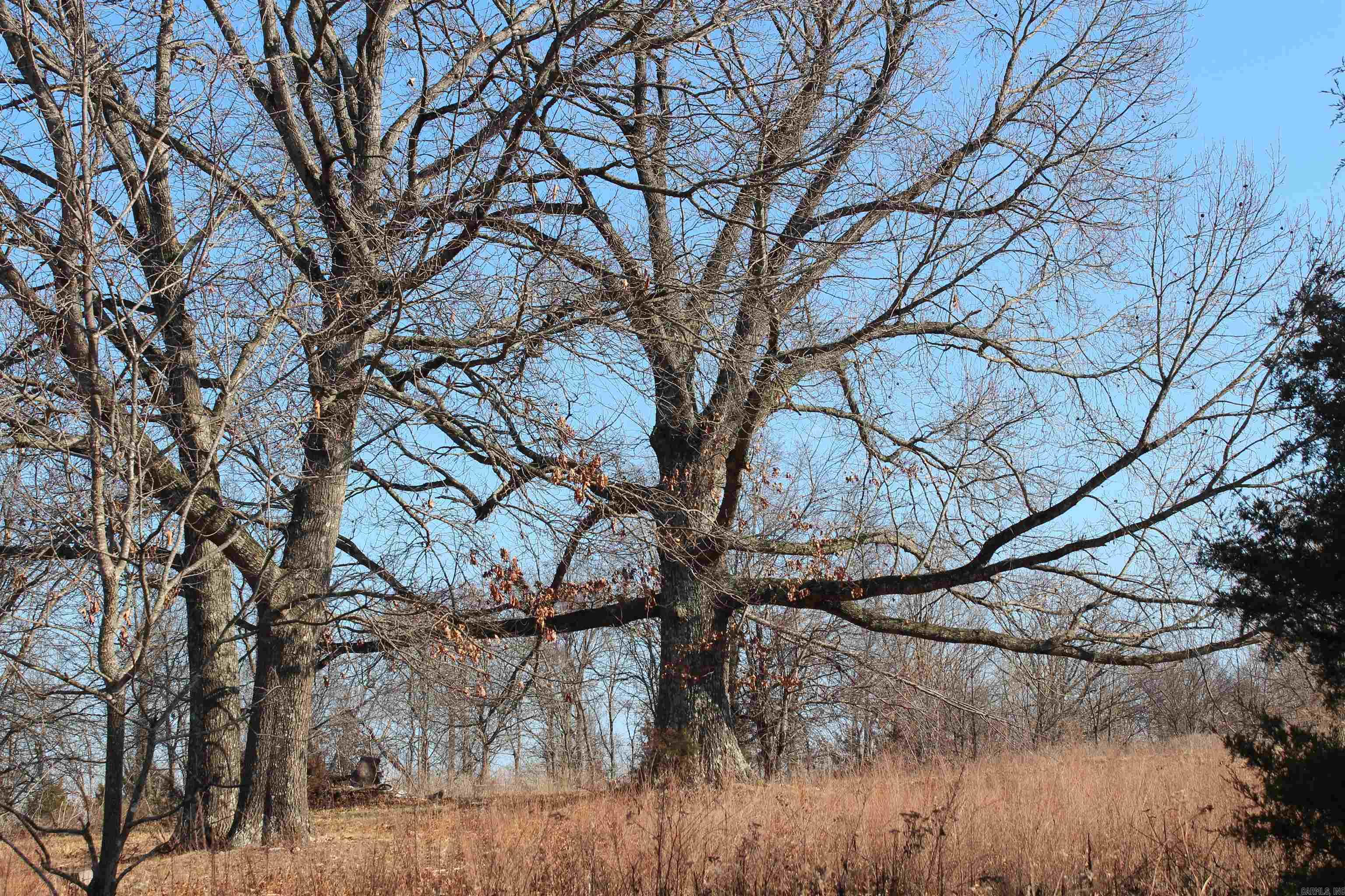 905 Fallen Tree  Marshall, AR