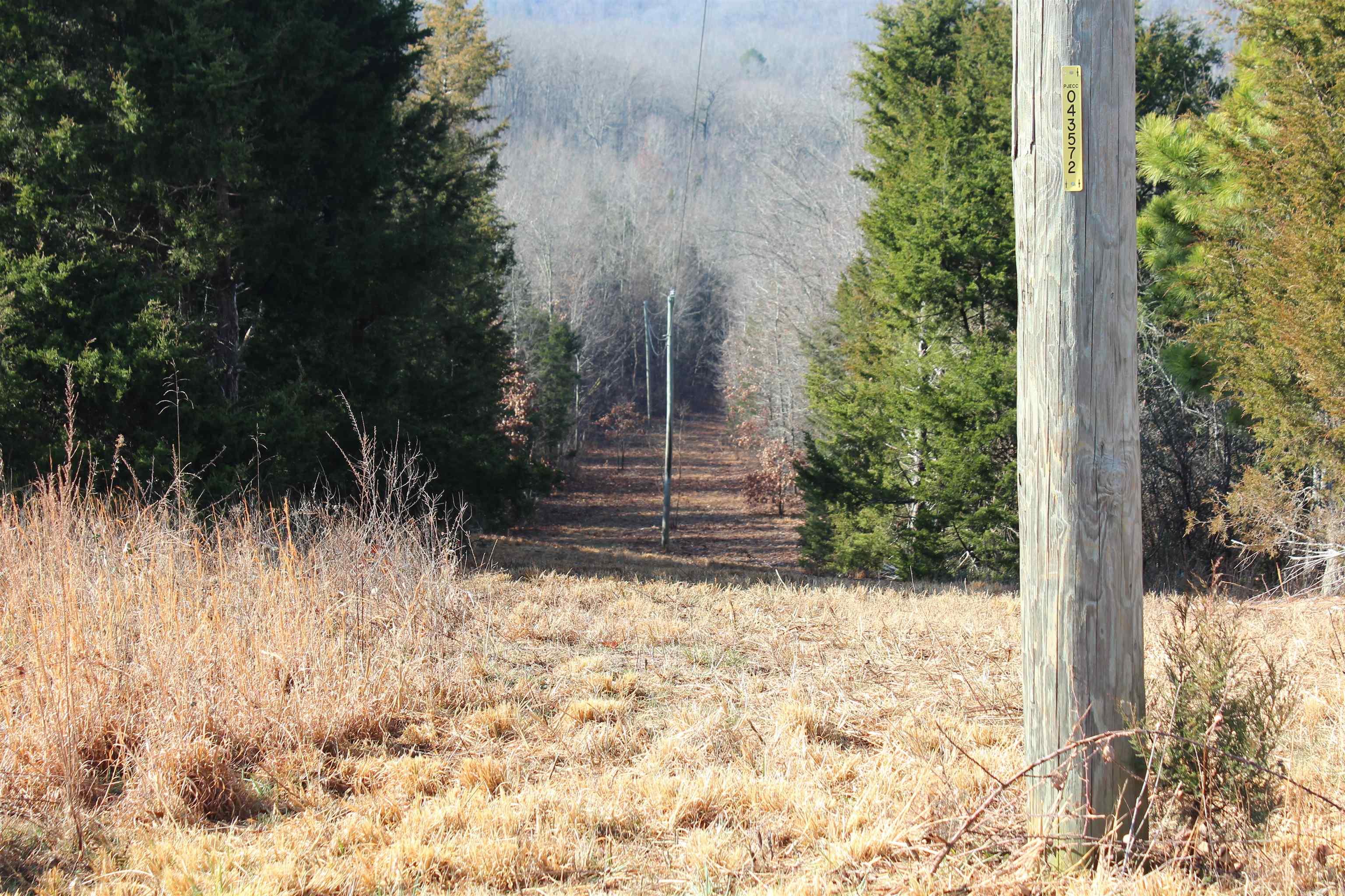 905 Fallen Tree  Marshall, AR