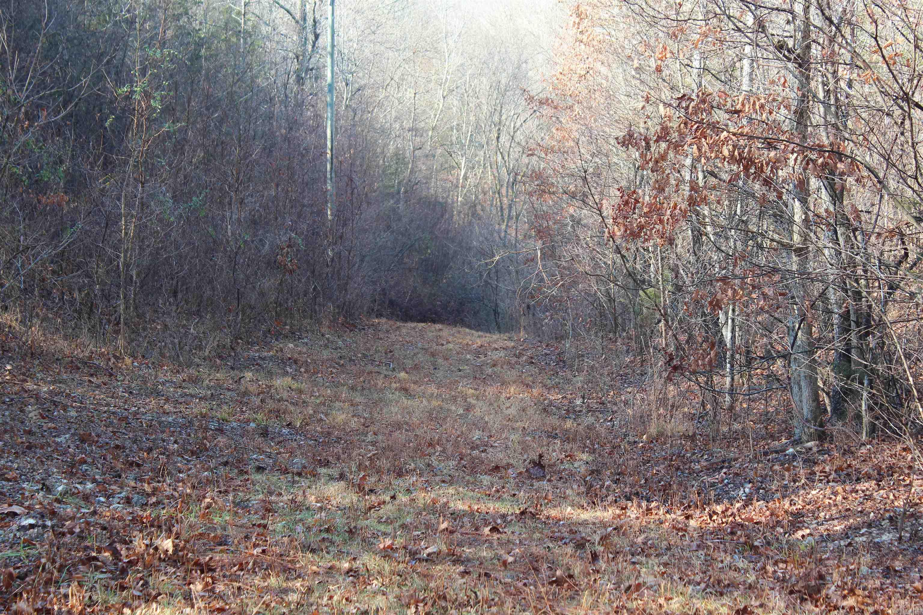 905 Fallen Tree  Marshall, AR