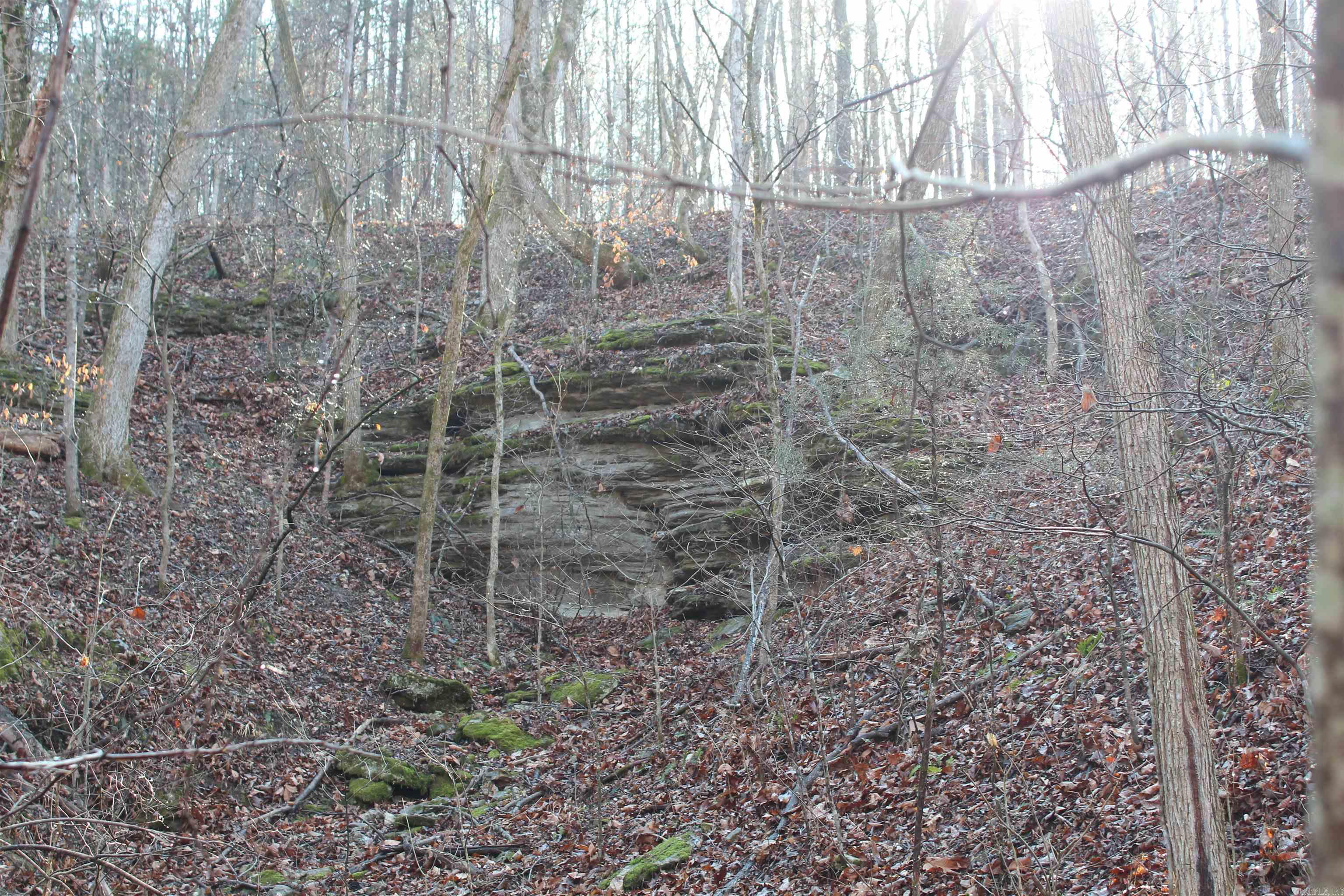 905 Fallen Tree  Marshall, AR