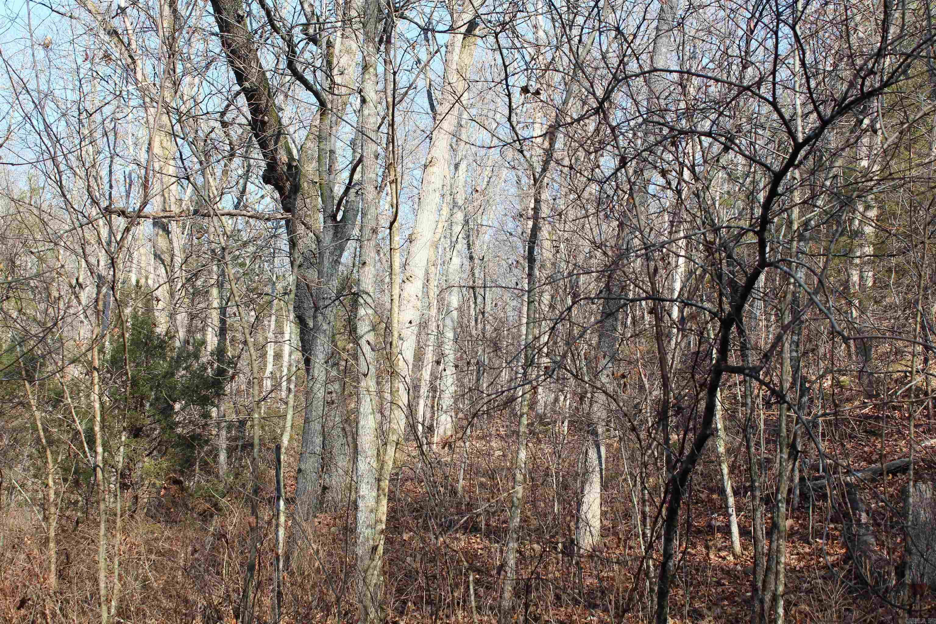 905 Fallen Tree  Marshall, AR