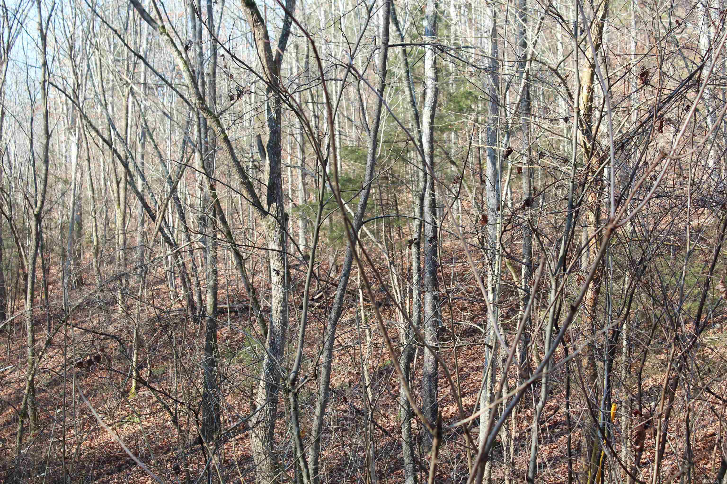 905 Fallen Tree  Marshall, AR