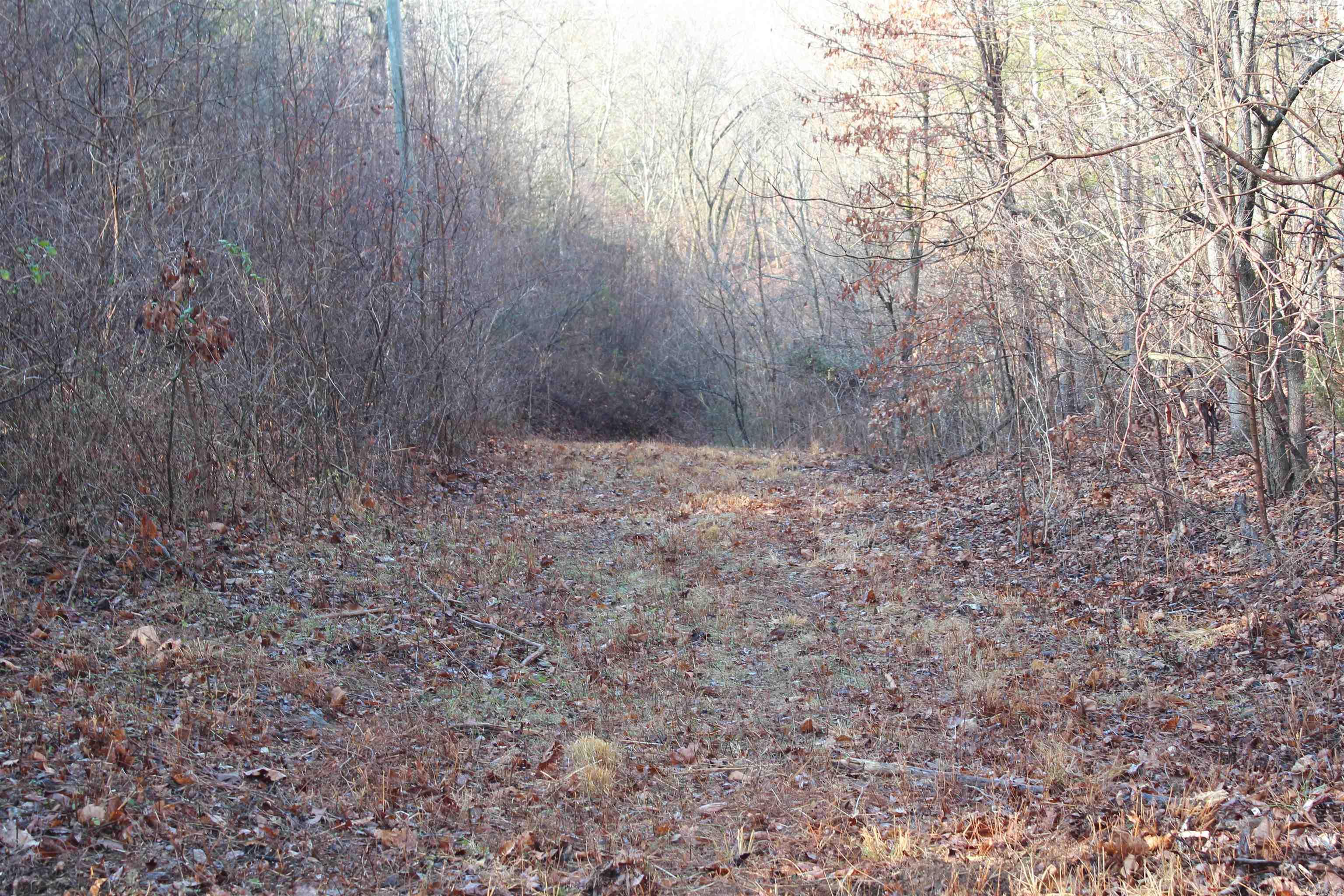 905 Fallen Tree  Marshall, AR