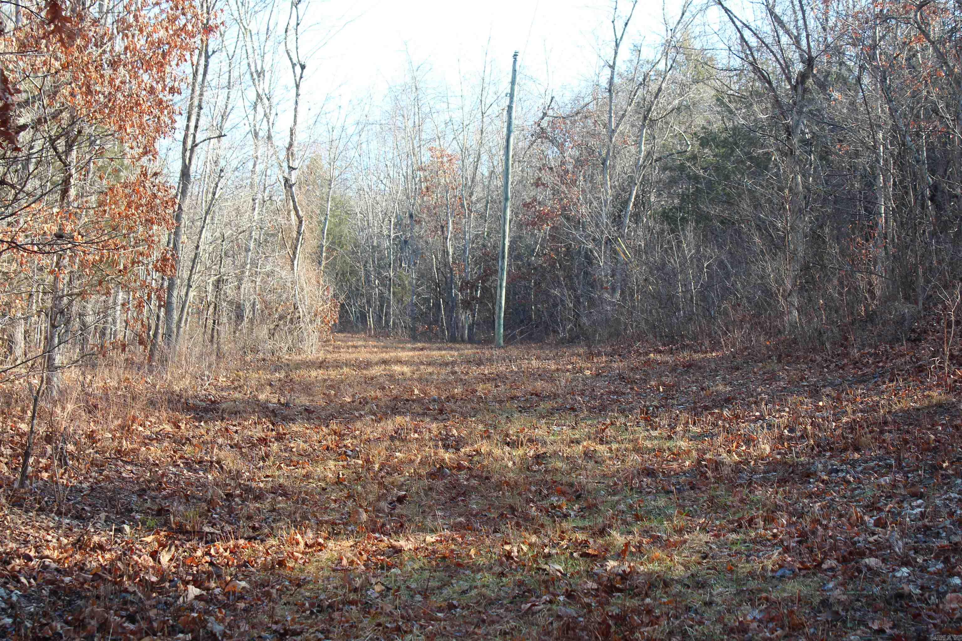 905 Fallen Tree  Marshall, AR