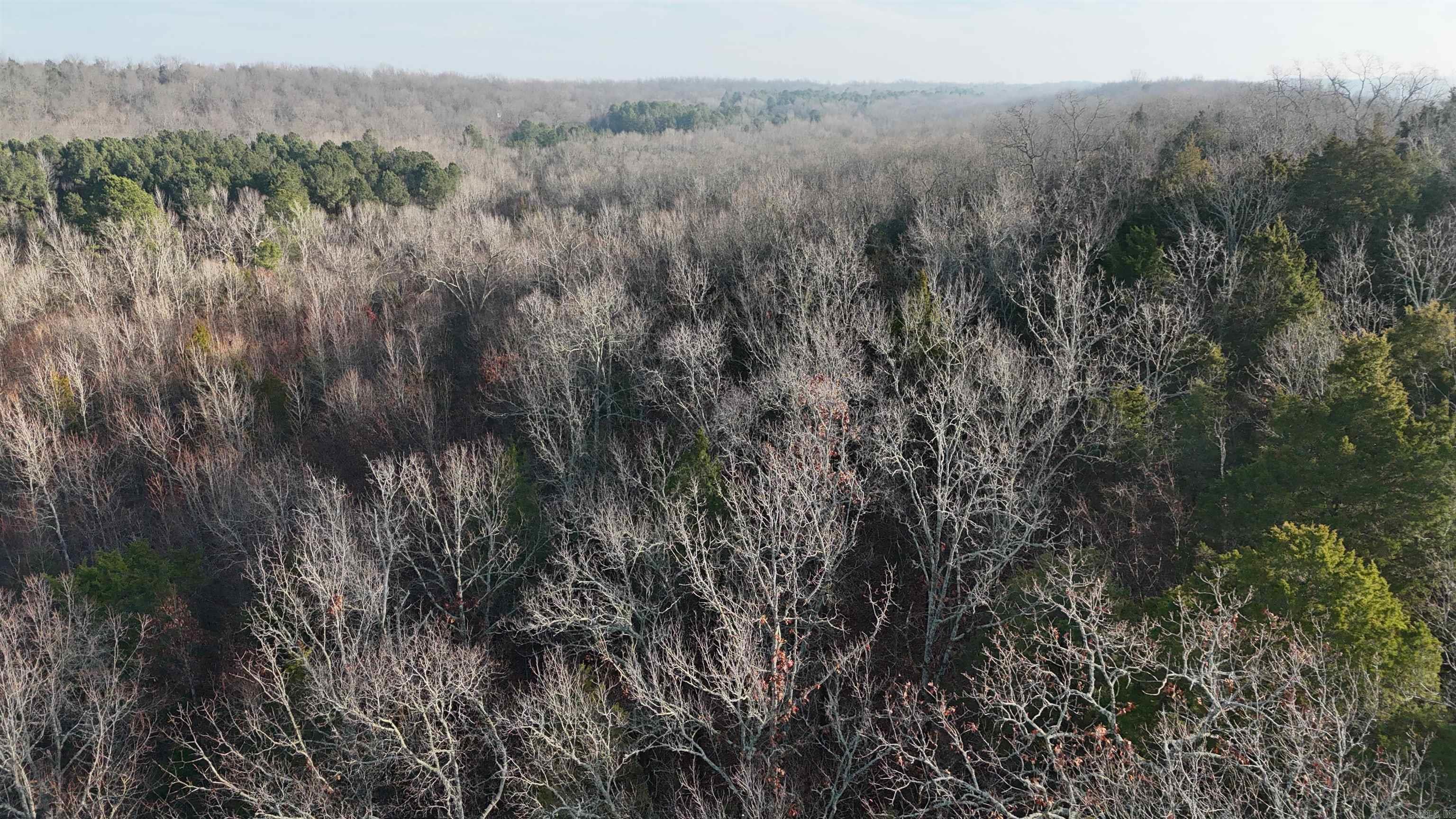 905 Fallen Tree  Marshall, AR