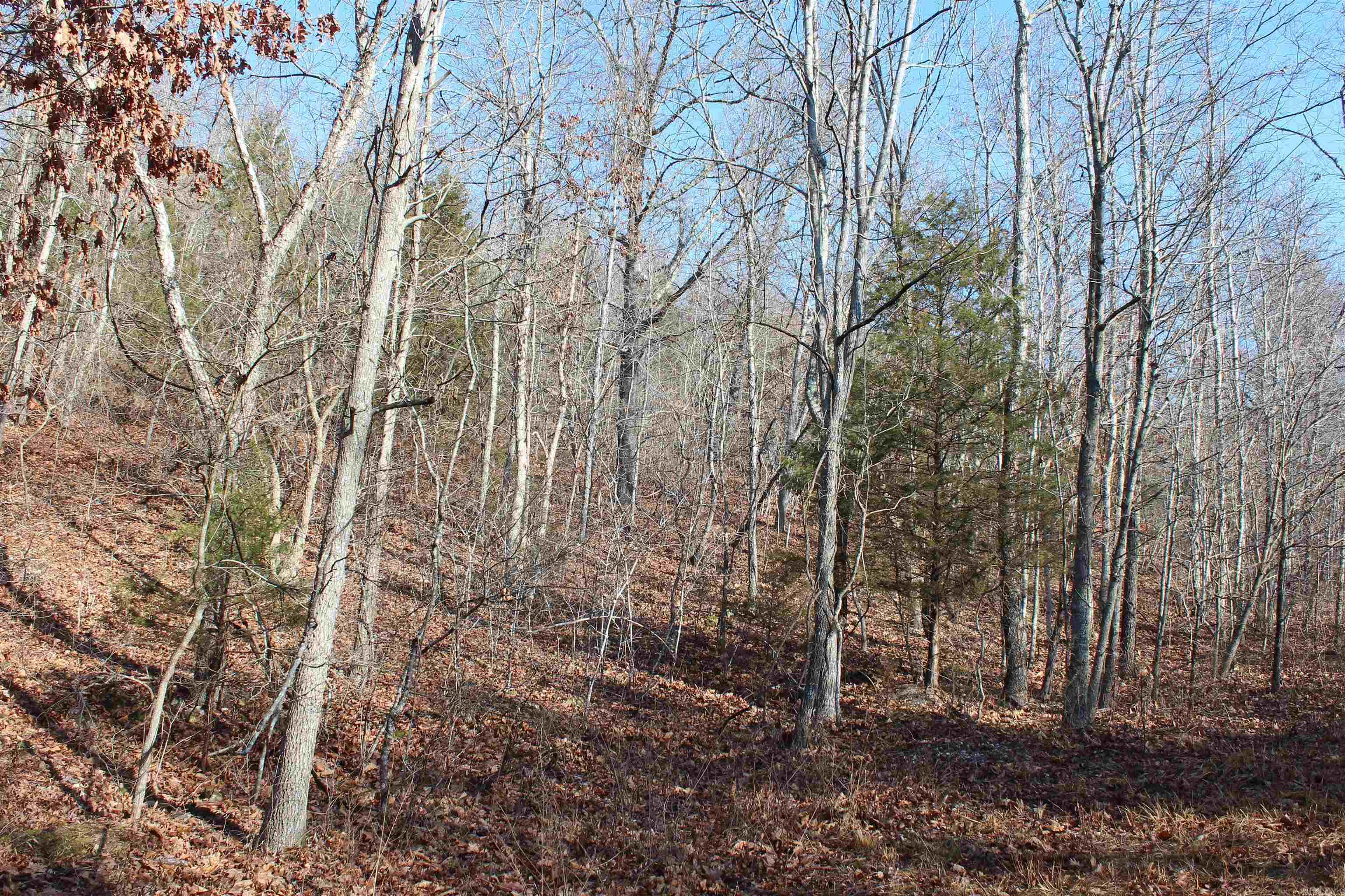 905 Fallen Tree  Marshall, AR