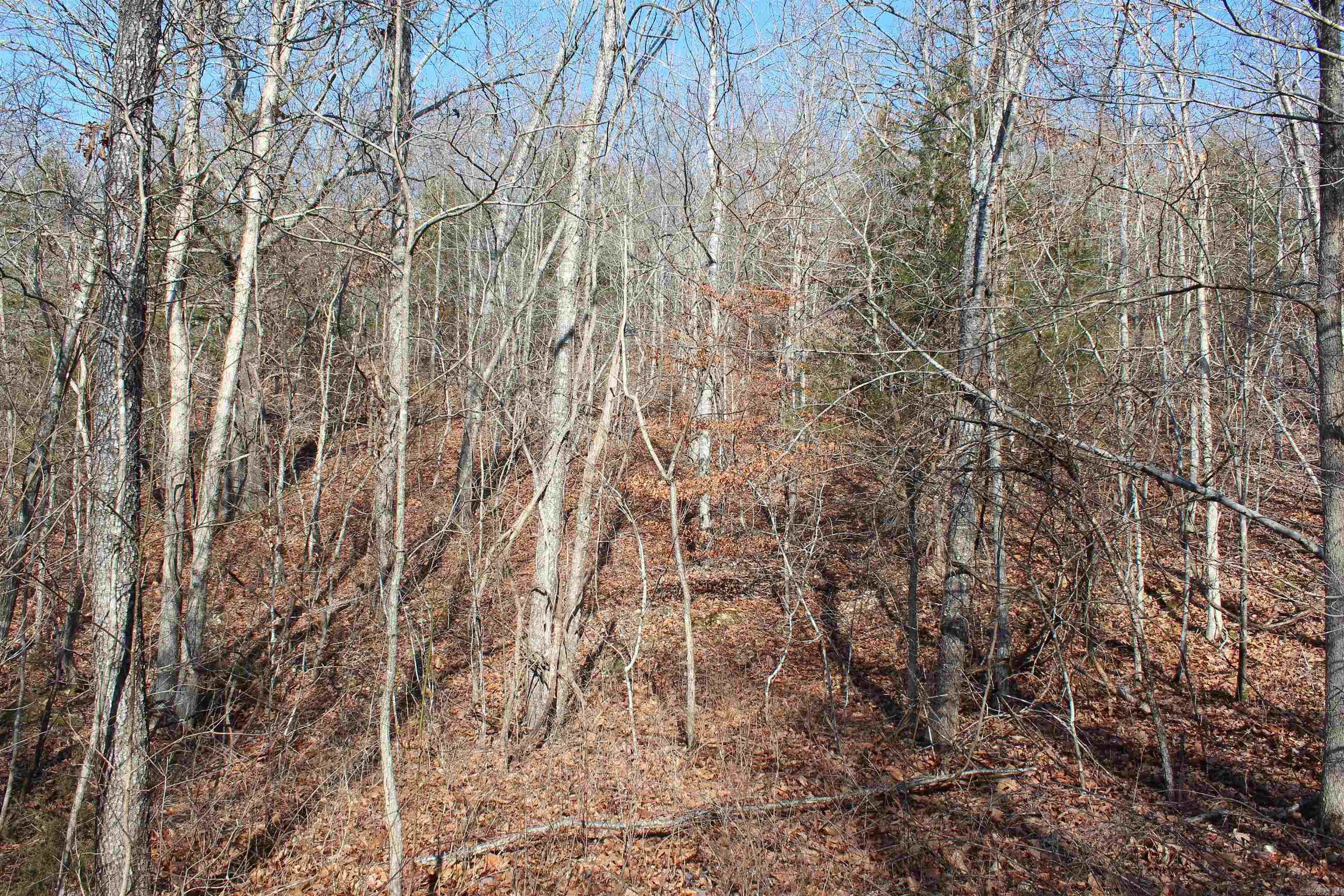 905 Fallen Tree  Marshall, AR