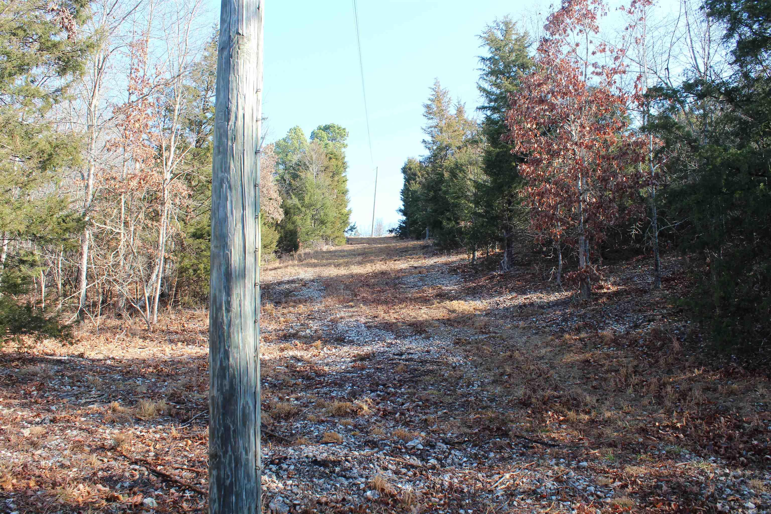 905 Fallen Tree  Marshall, AR