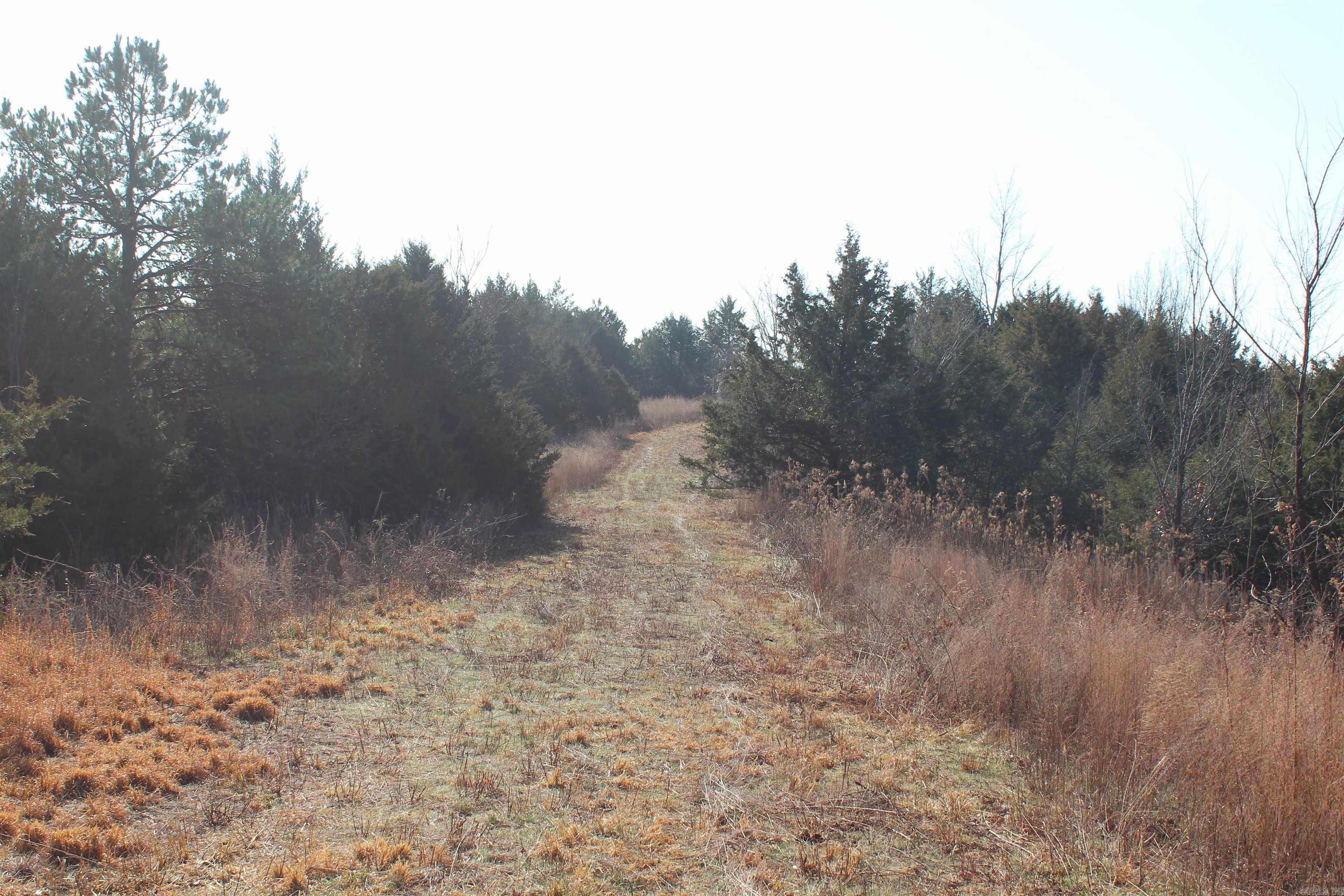 905 Fallen Tree  Marshall, AR