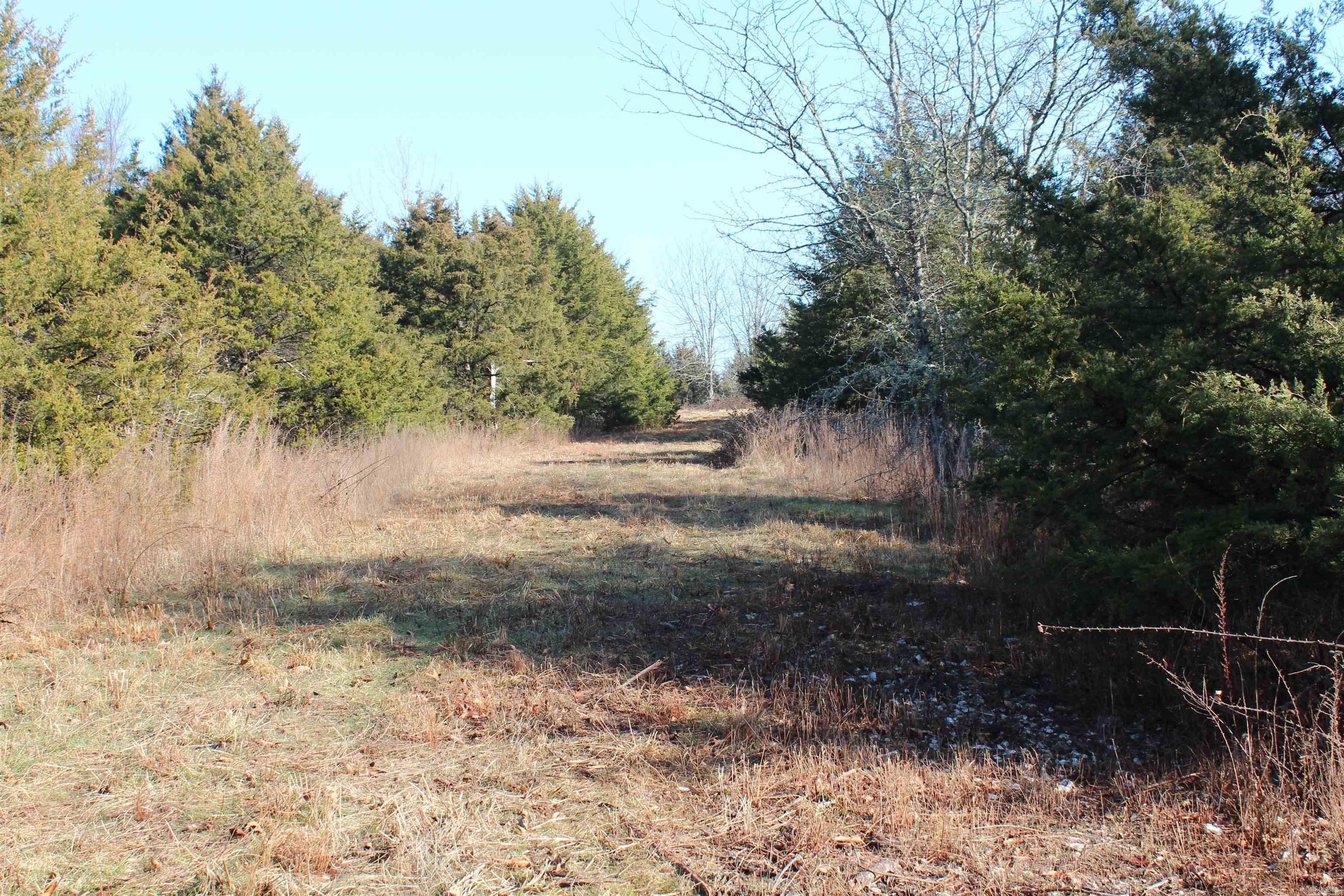 905 Fallen Tree  Marshall, AR