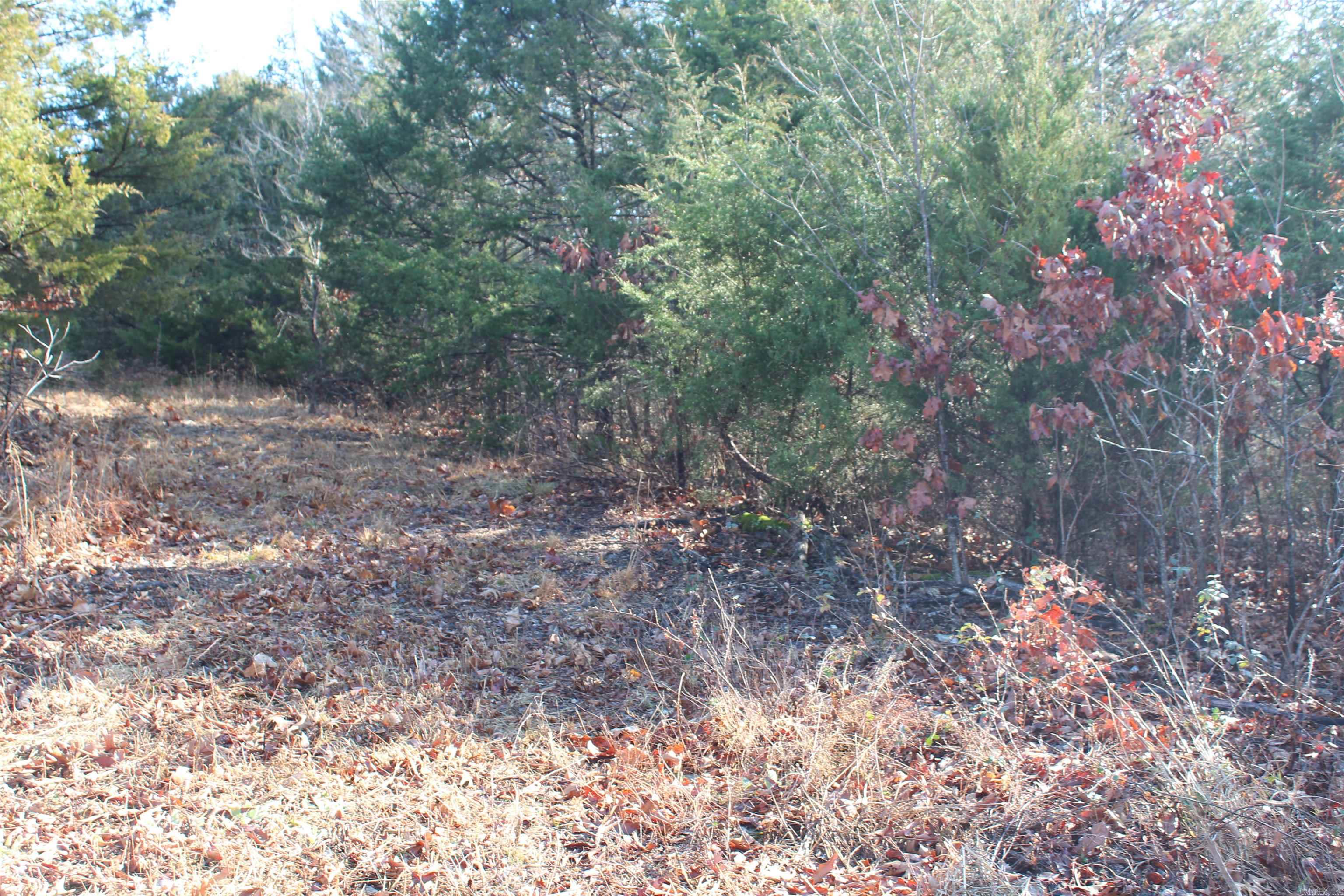 905 Fallen Tree  Marshall, AR