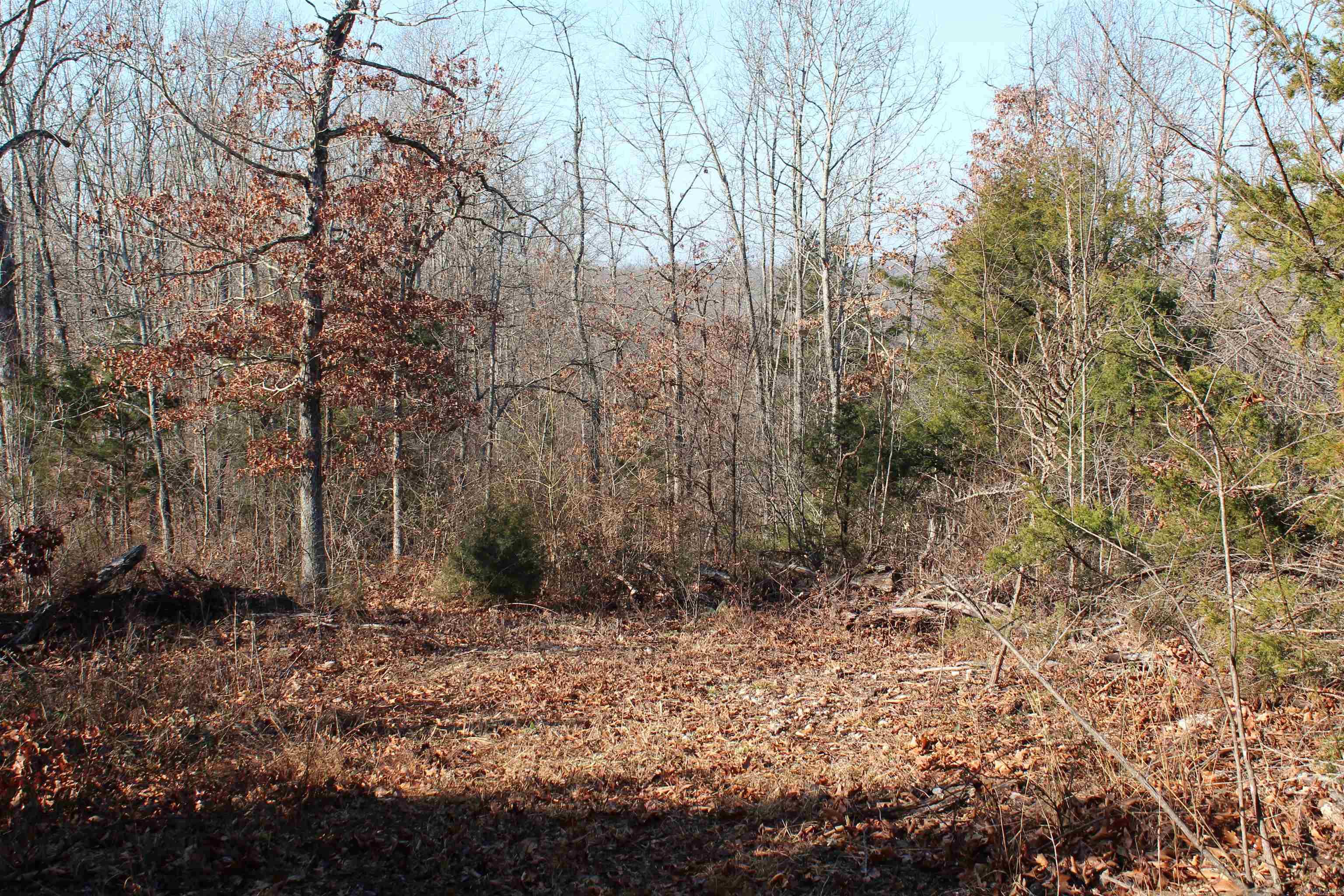 905 Fallen Tree  Marshall, AR