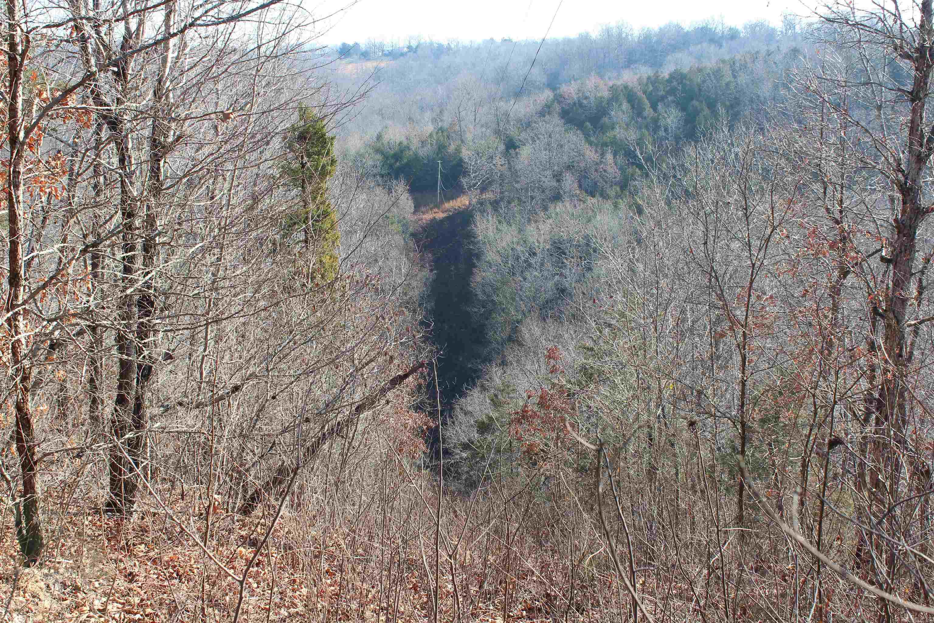 905 Fallen Tree  Marshall, AR