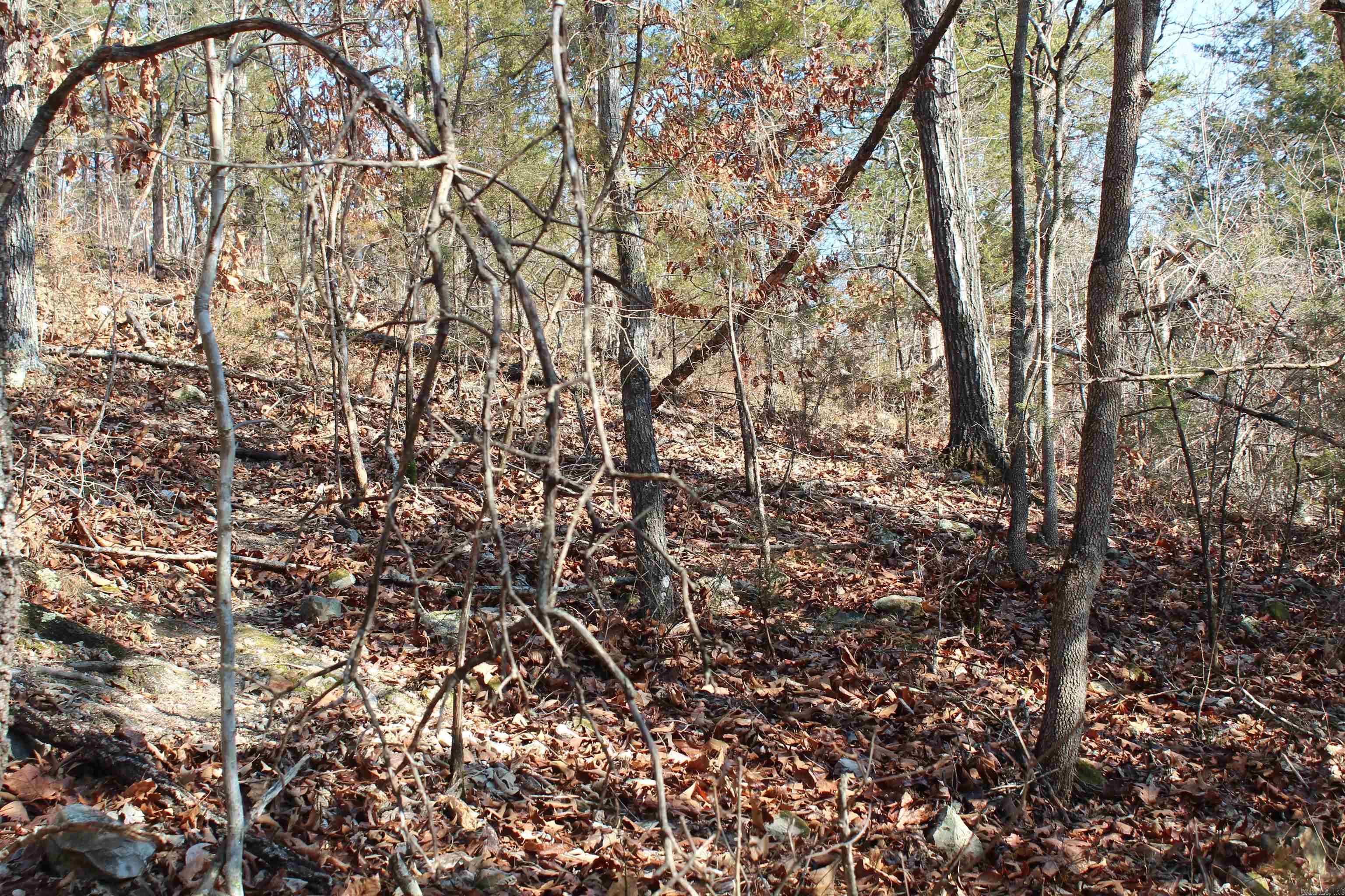 905 Fallen Tree  Marshall, AR