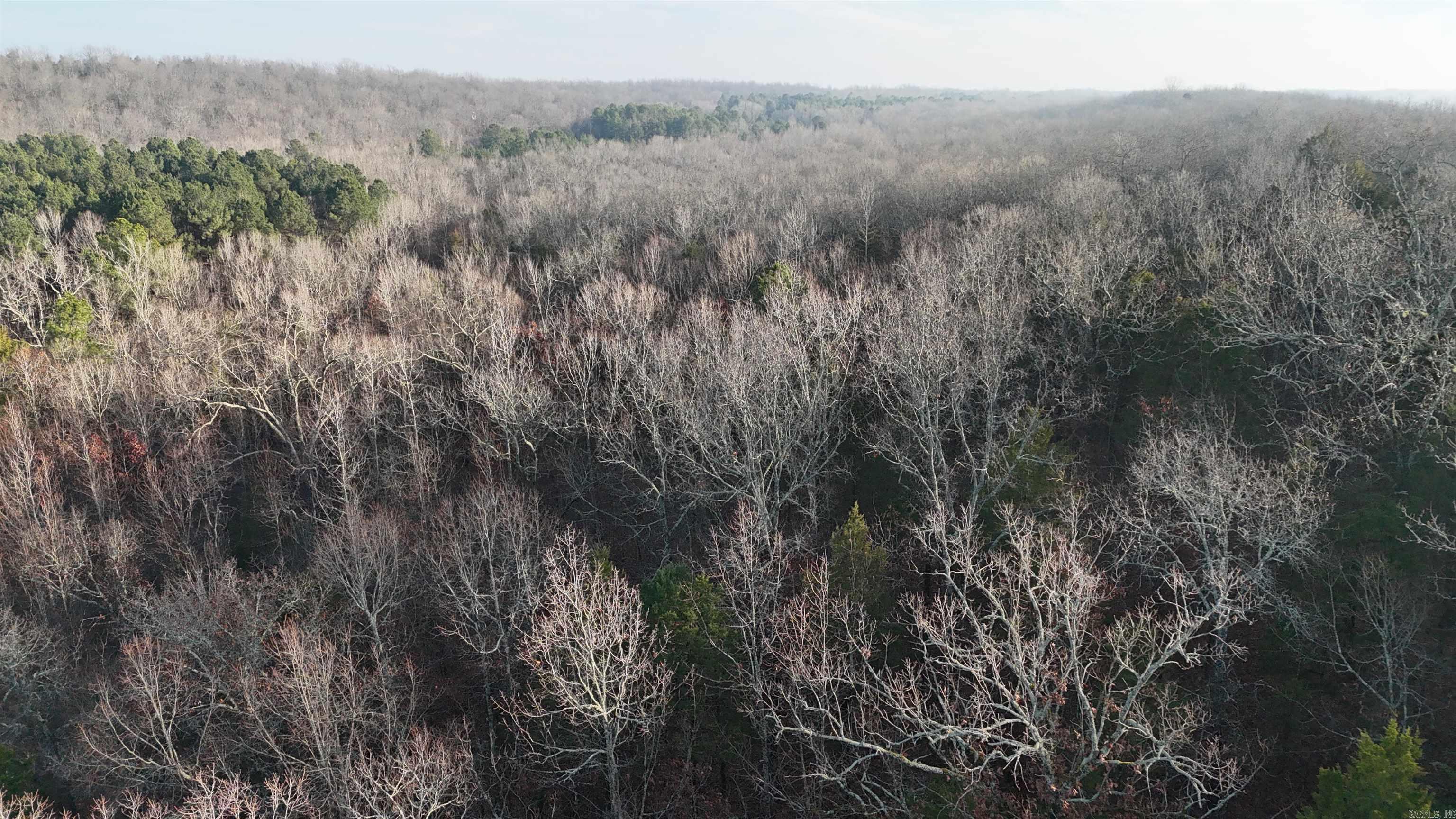 905 Fallen Tree  Marshall, AR