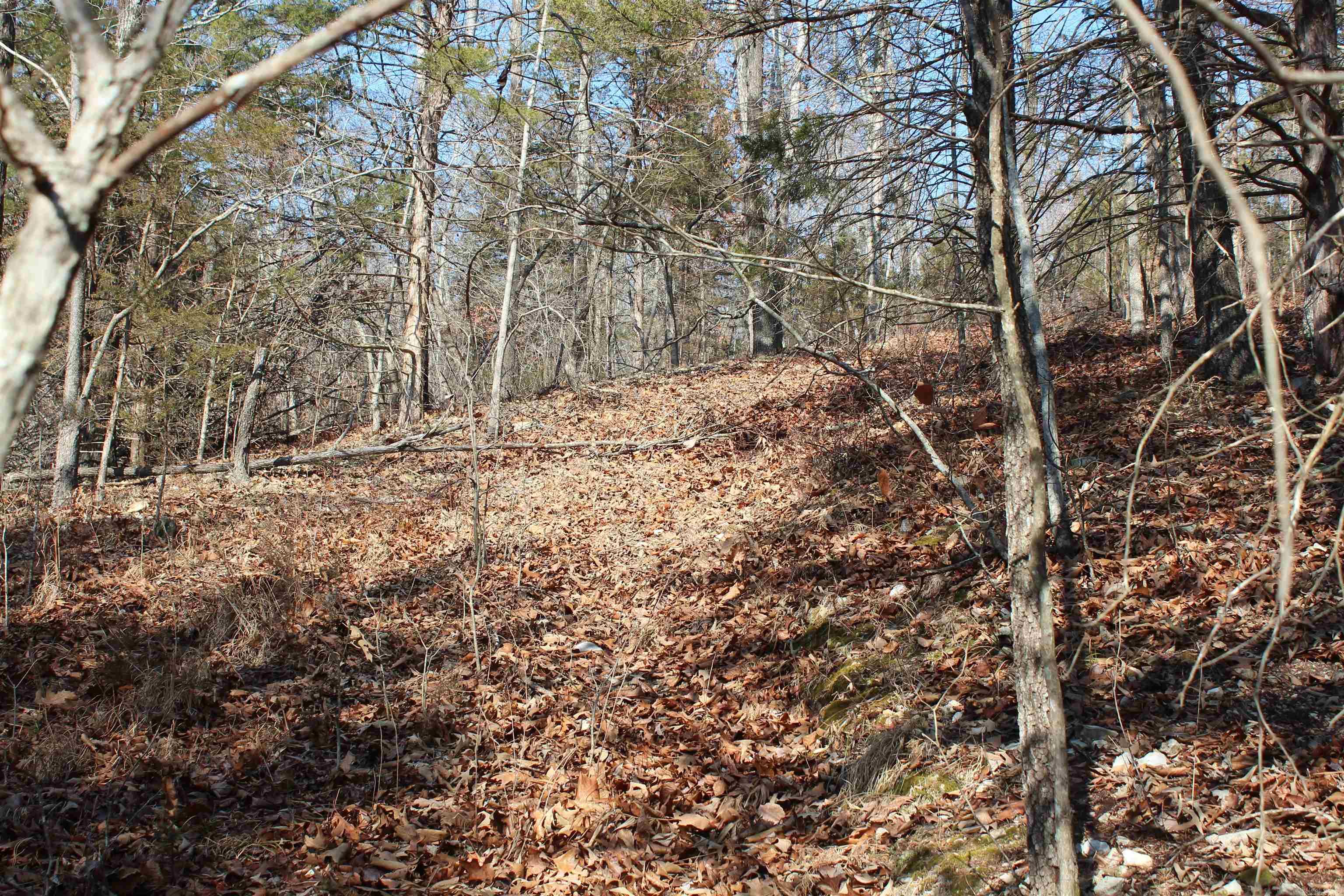 905 Fallen Tree  Marshall, AR