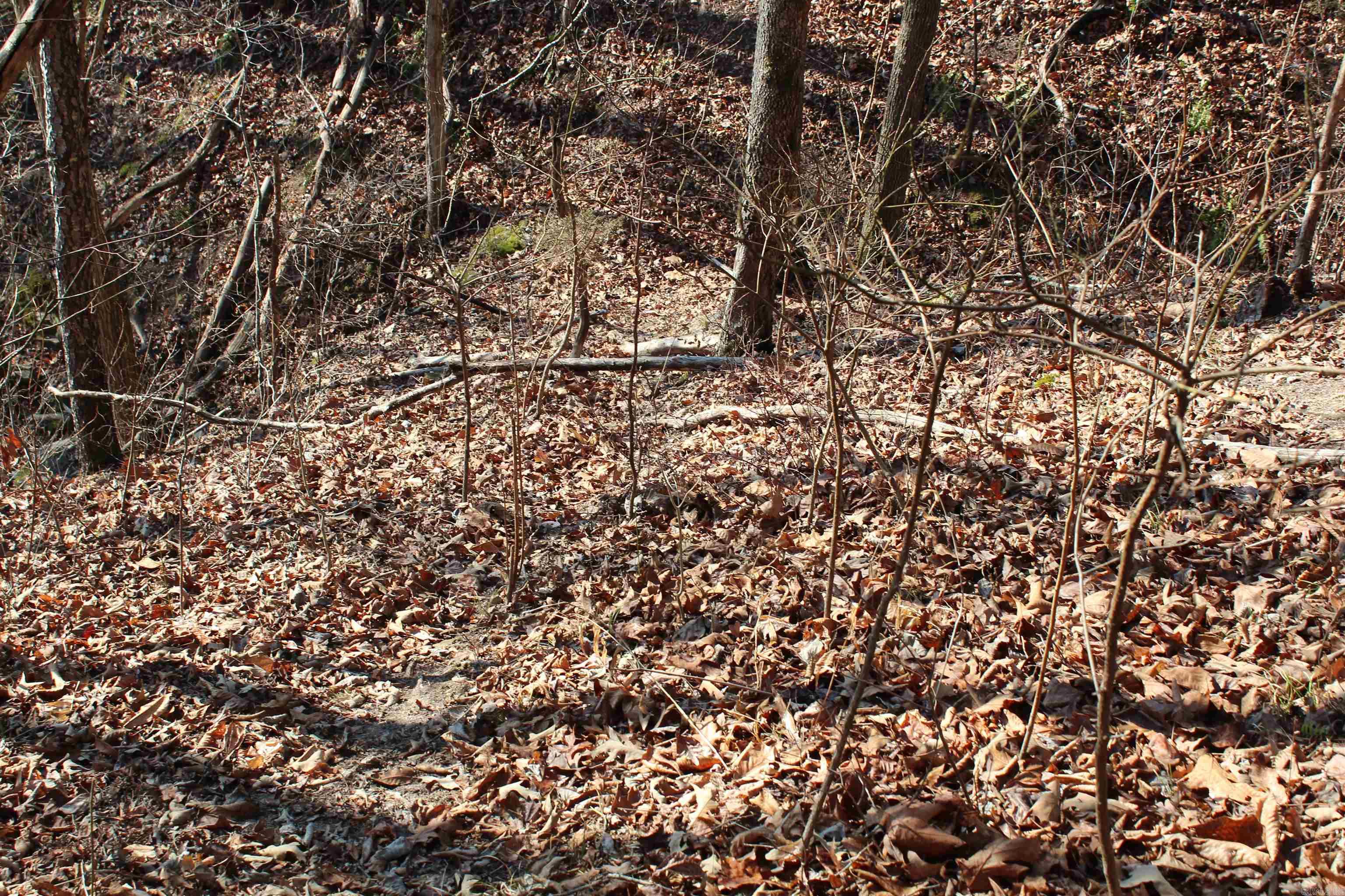 905 Fallen Tree  Marshall, AR