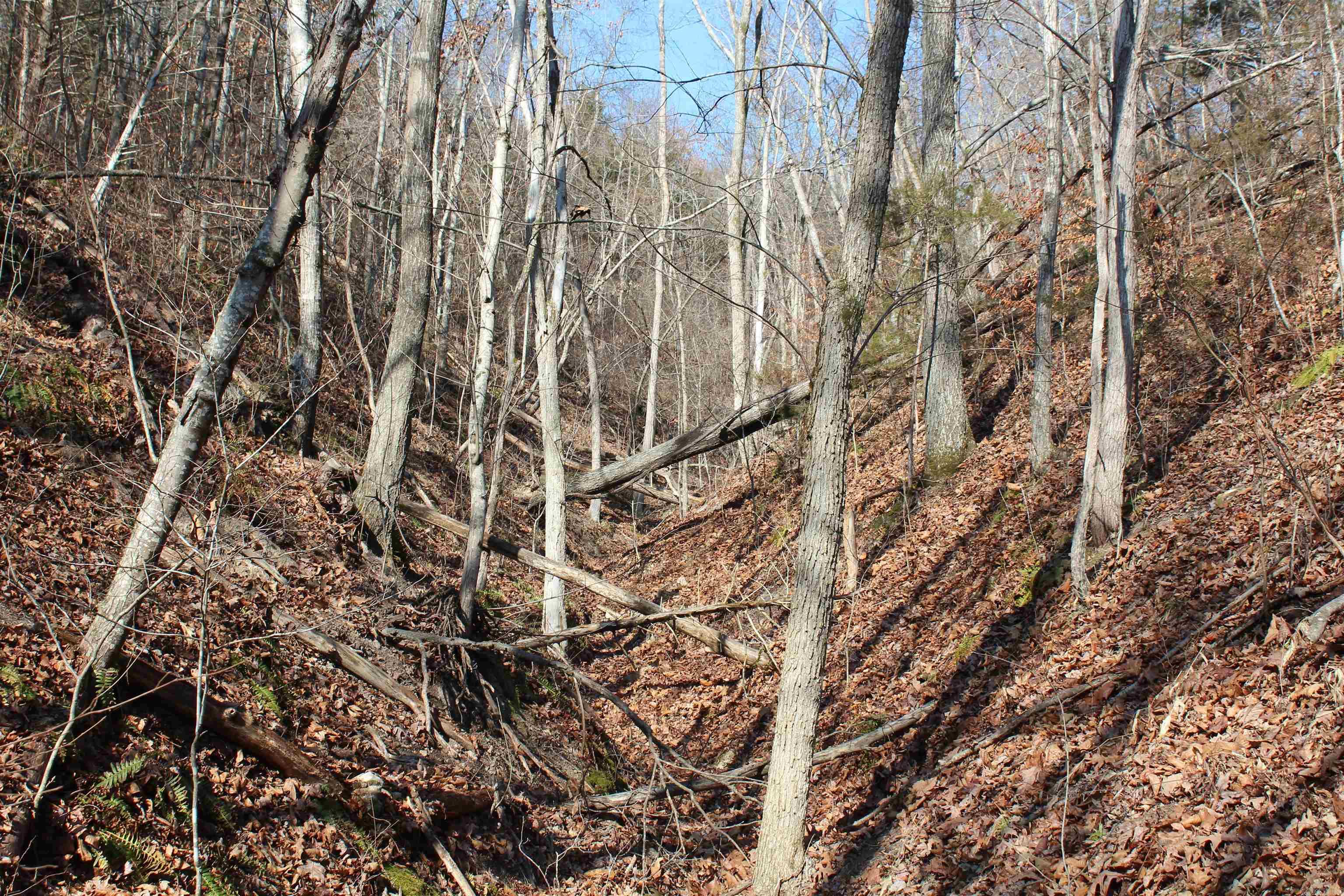 905 Fallen Tree  Marshall, AR