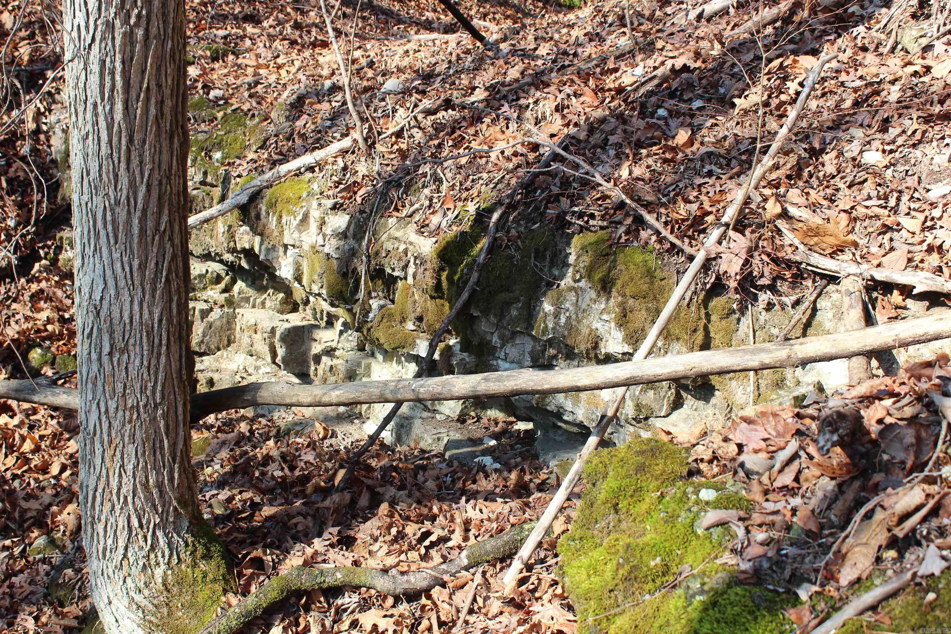 905 Fallen Tree  Marshall, AR