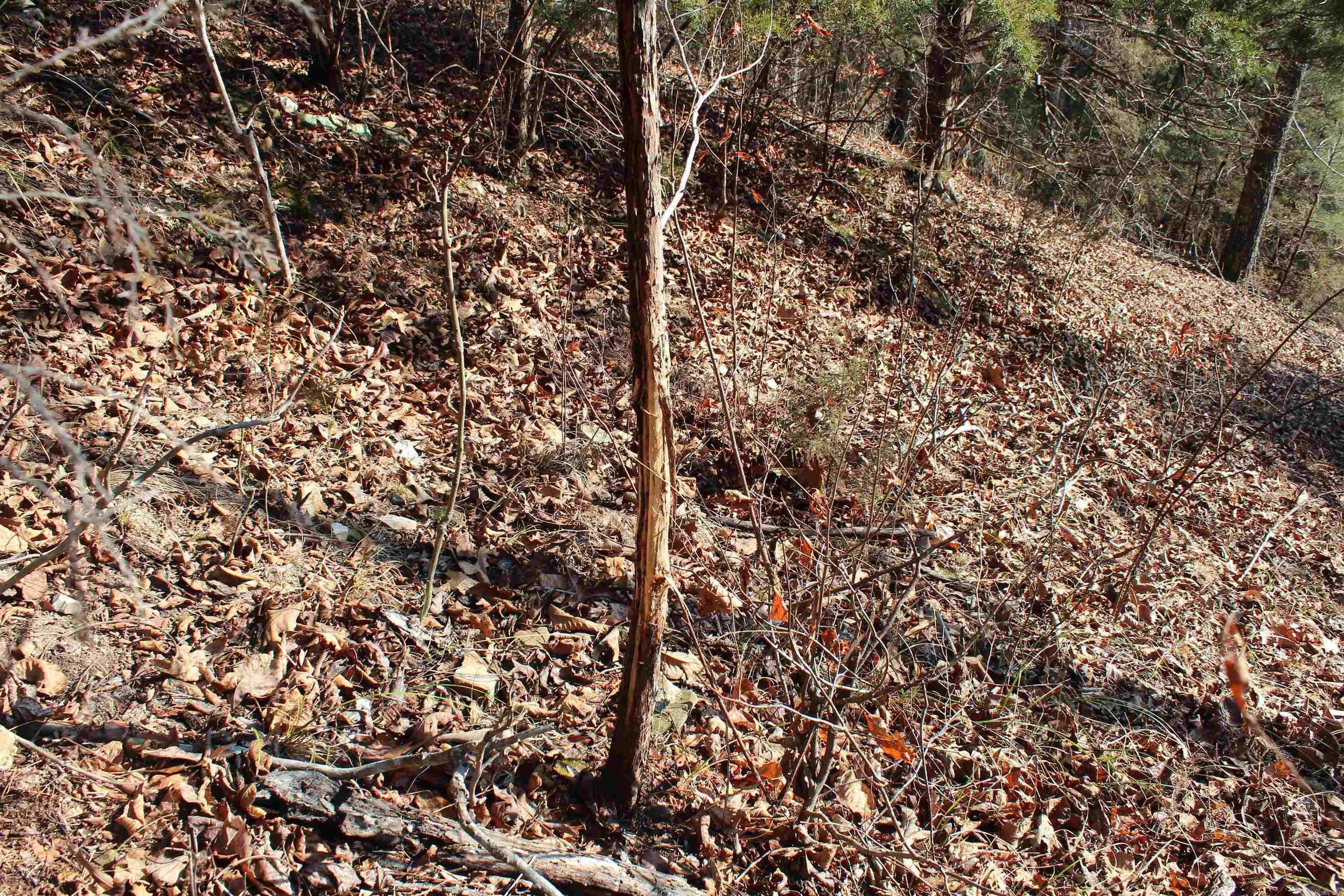 905 Fallen Tree  Marshall, AR