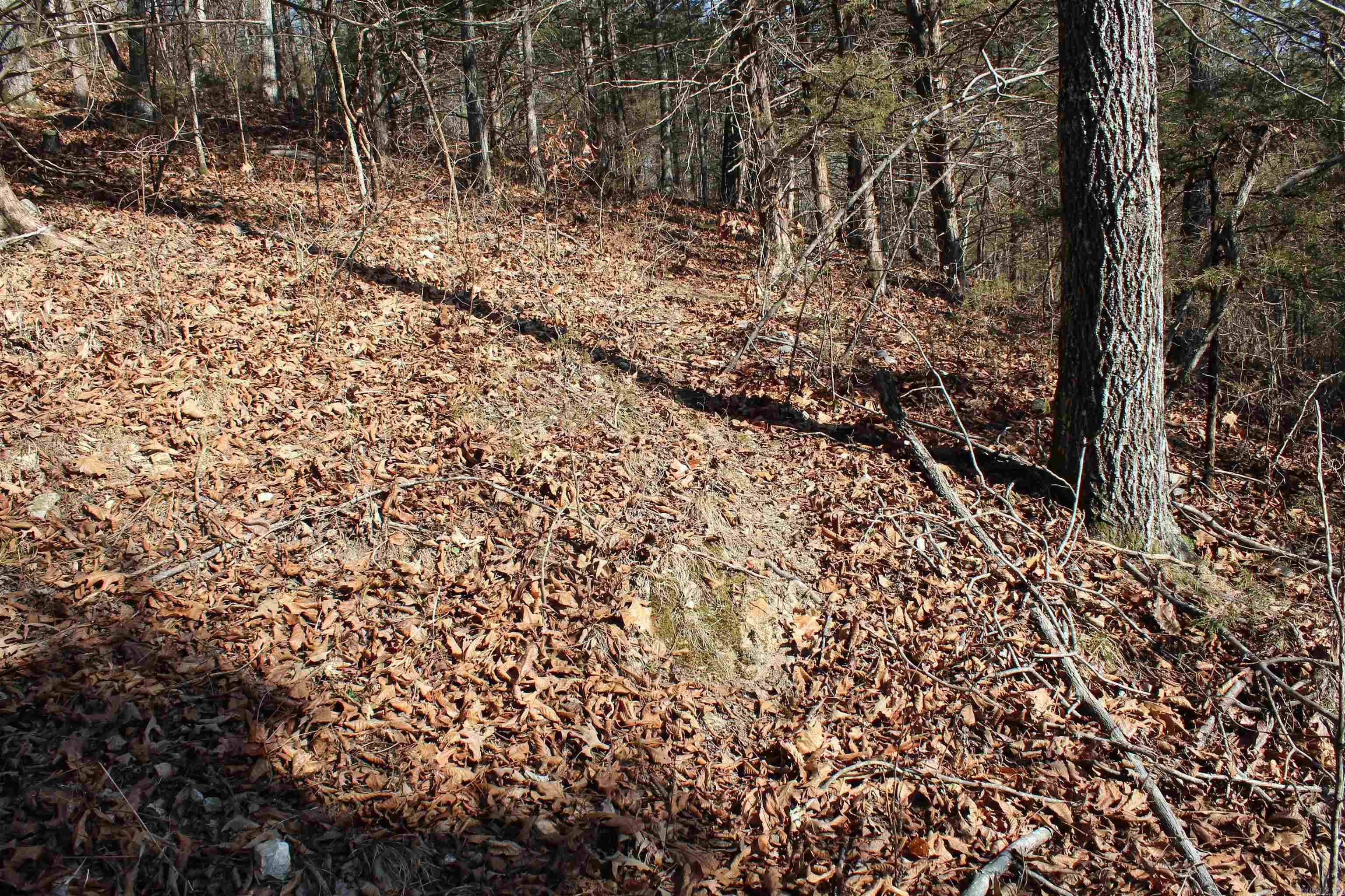 905 Fallen Tree  Marshall, AR