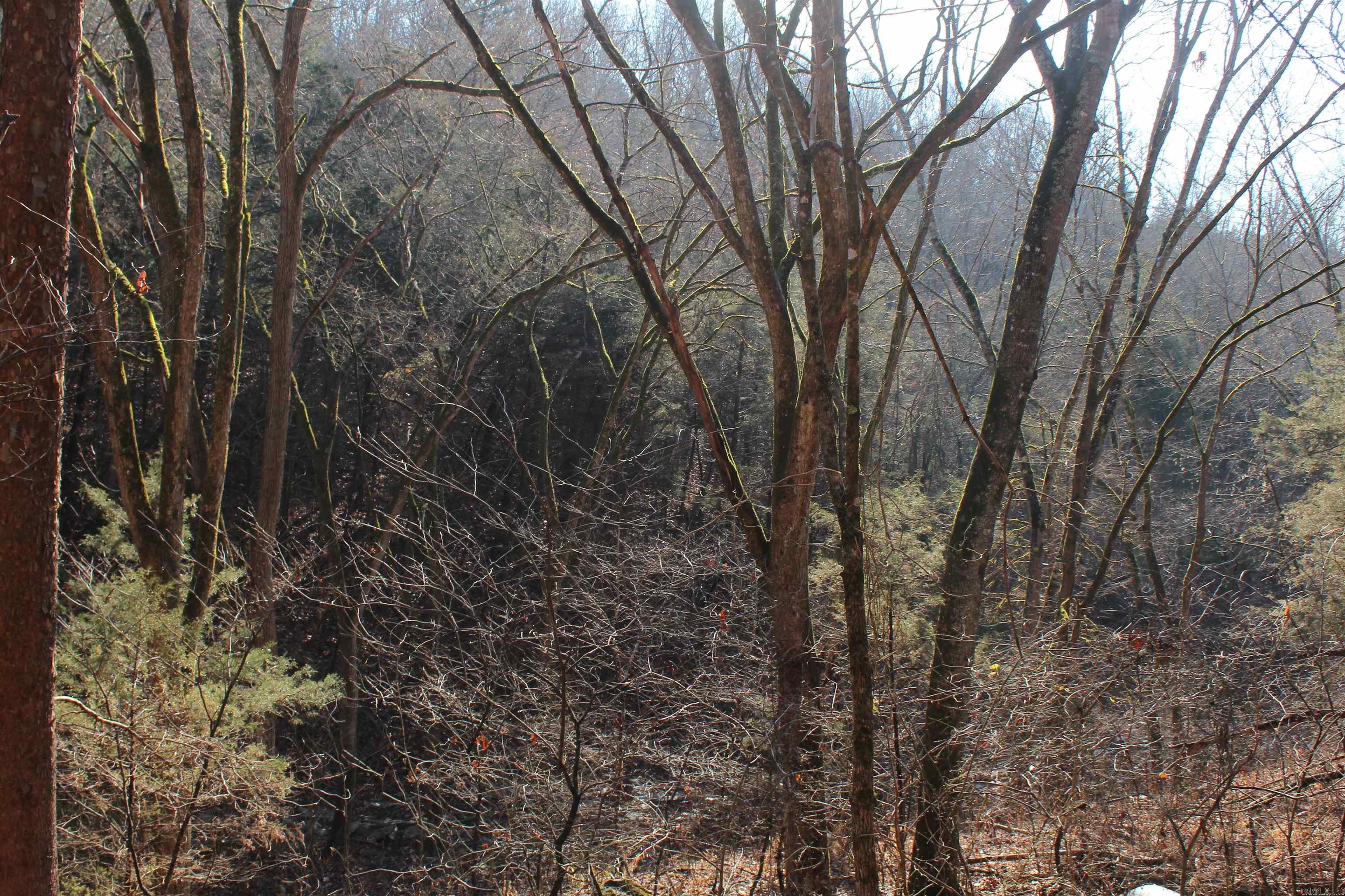 905 Fallen Tree  Marshall, AR