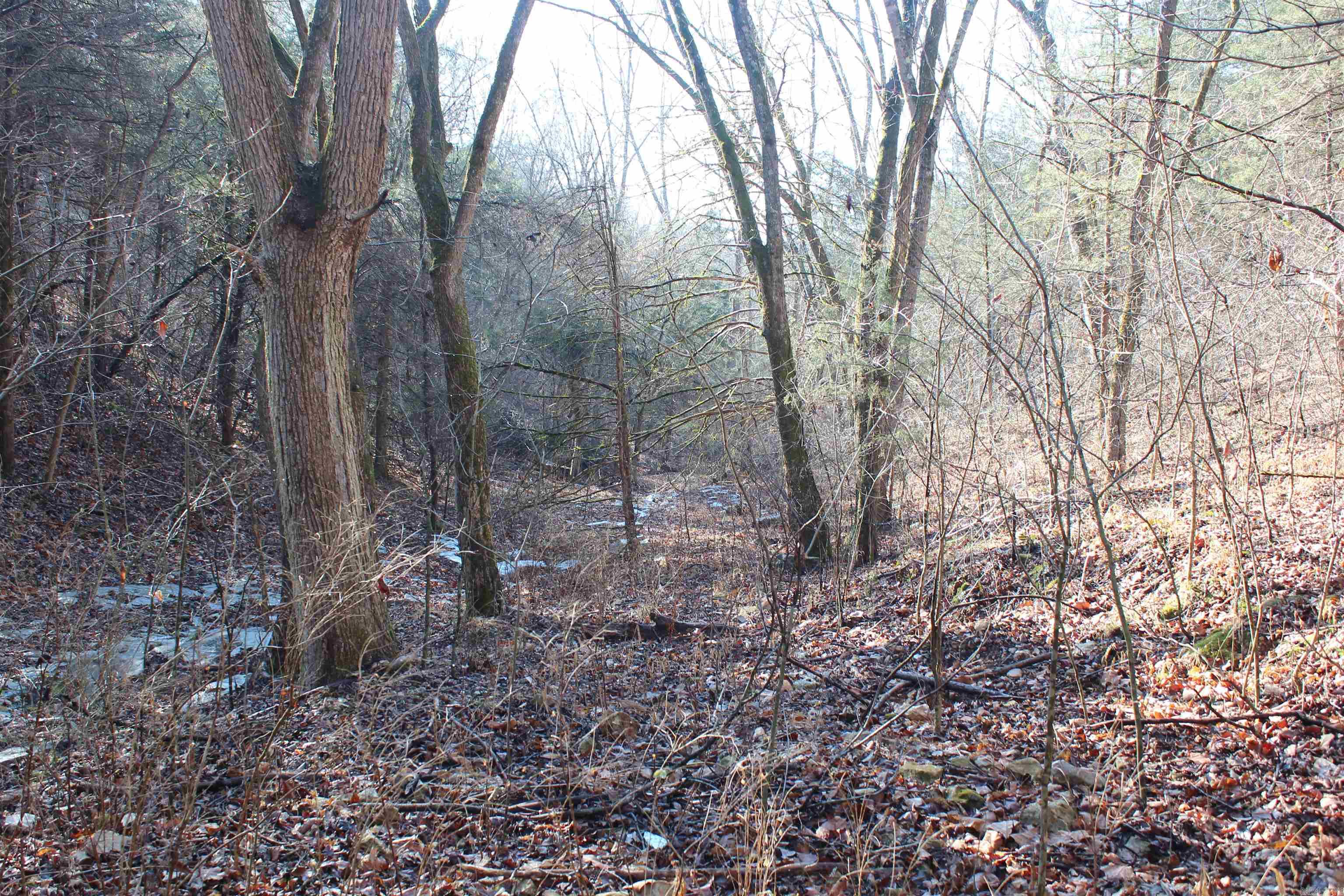 905 Fallen Tree  Marshall, AR