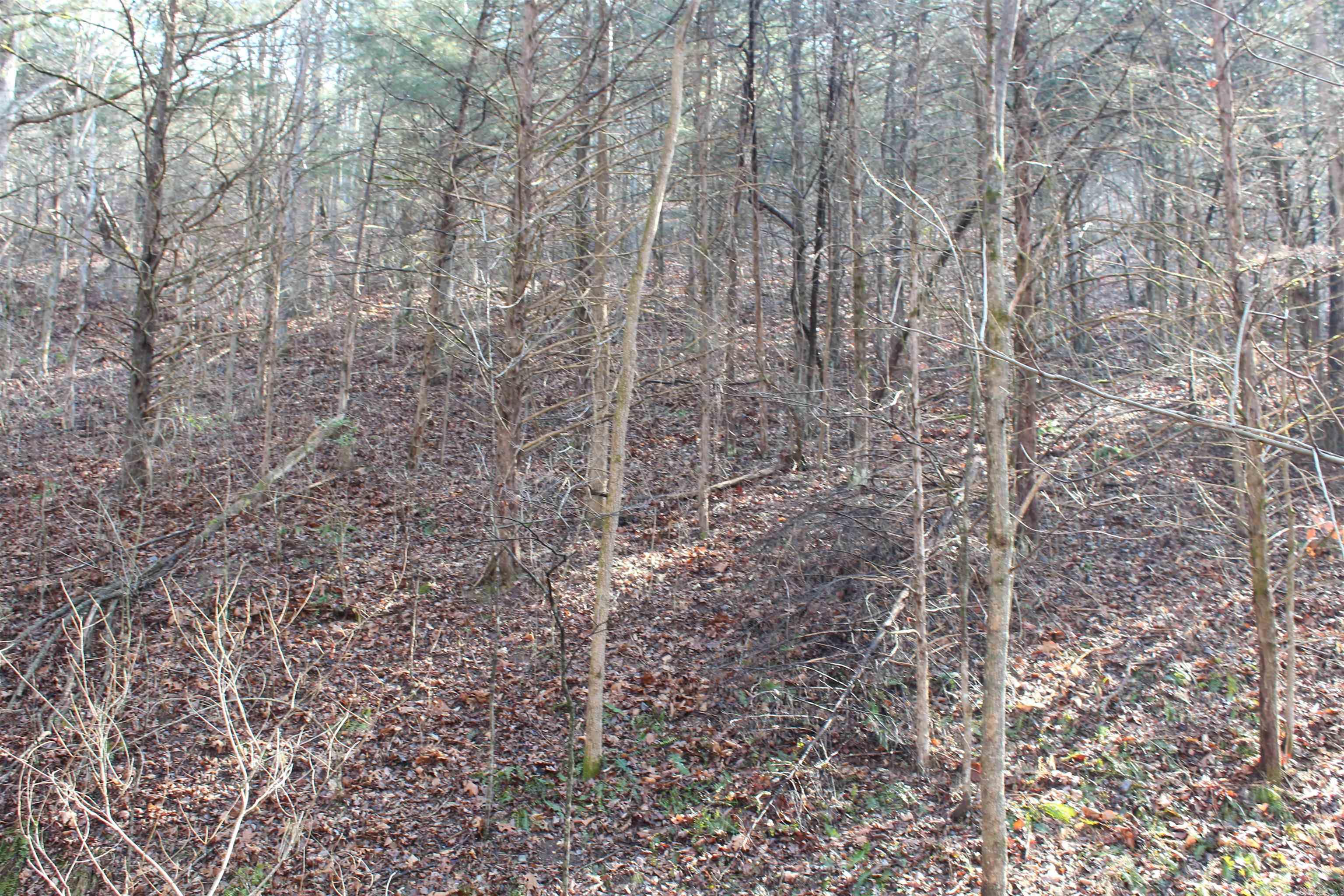 905 Fallen Tree  Marshall, AR