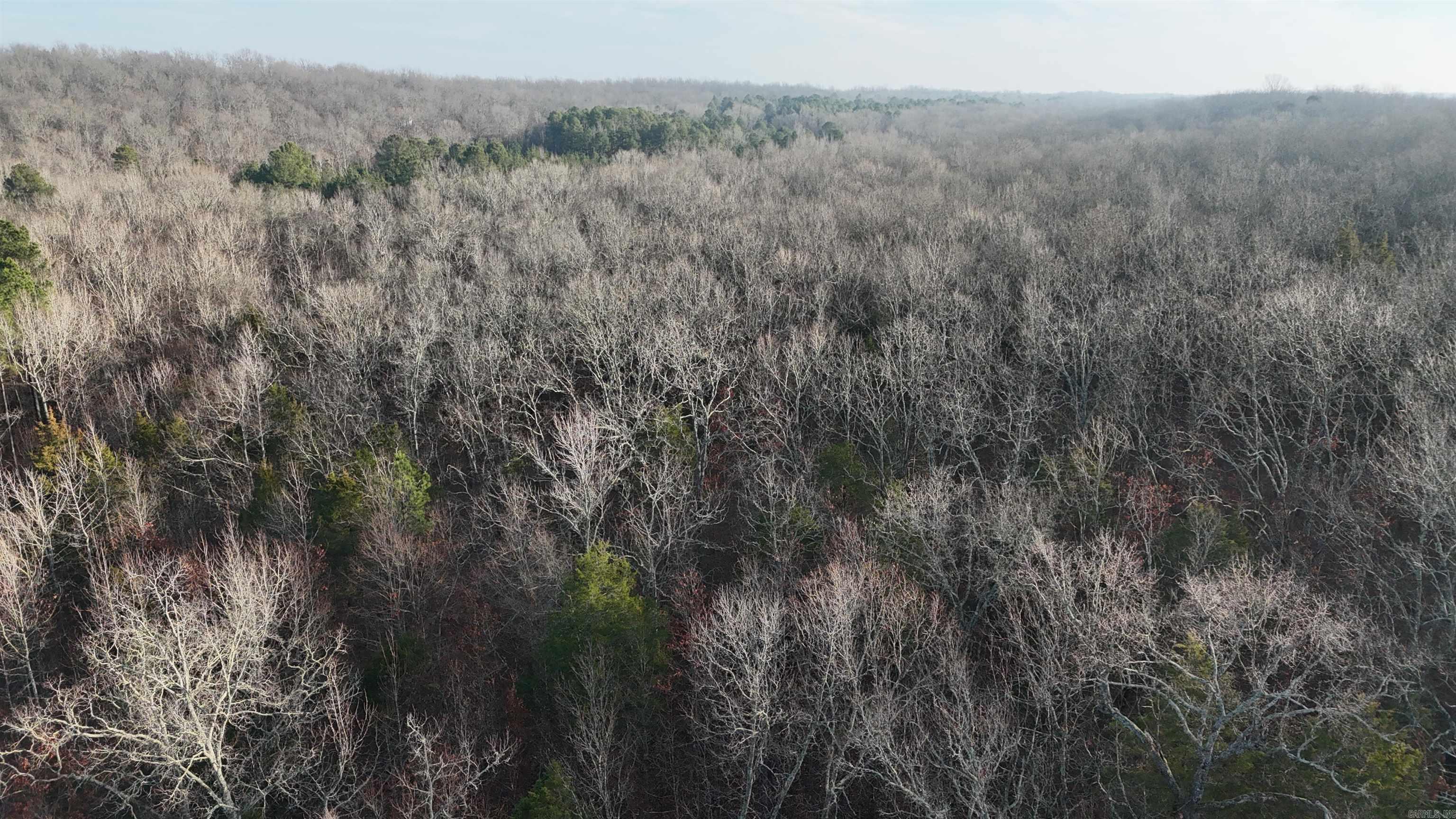 905 Fallen Tree  Marshall, AR