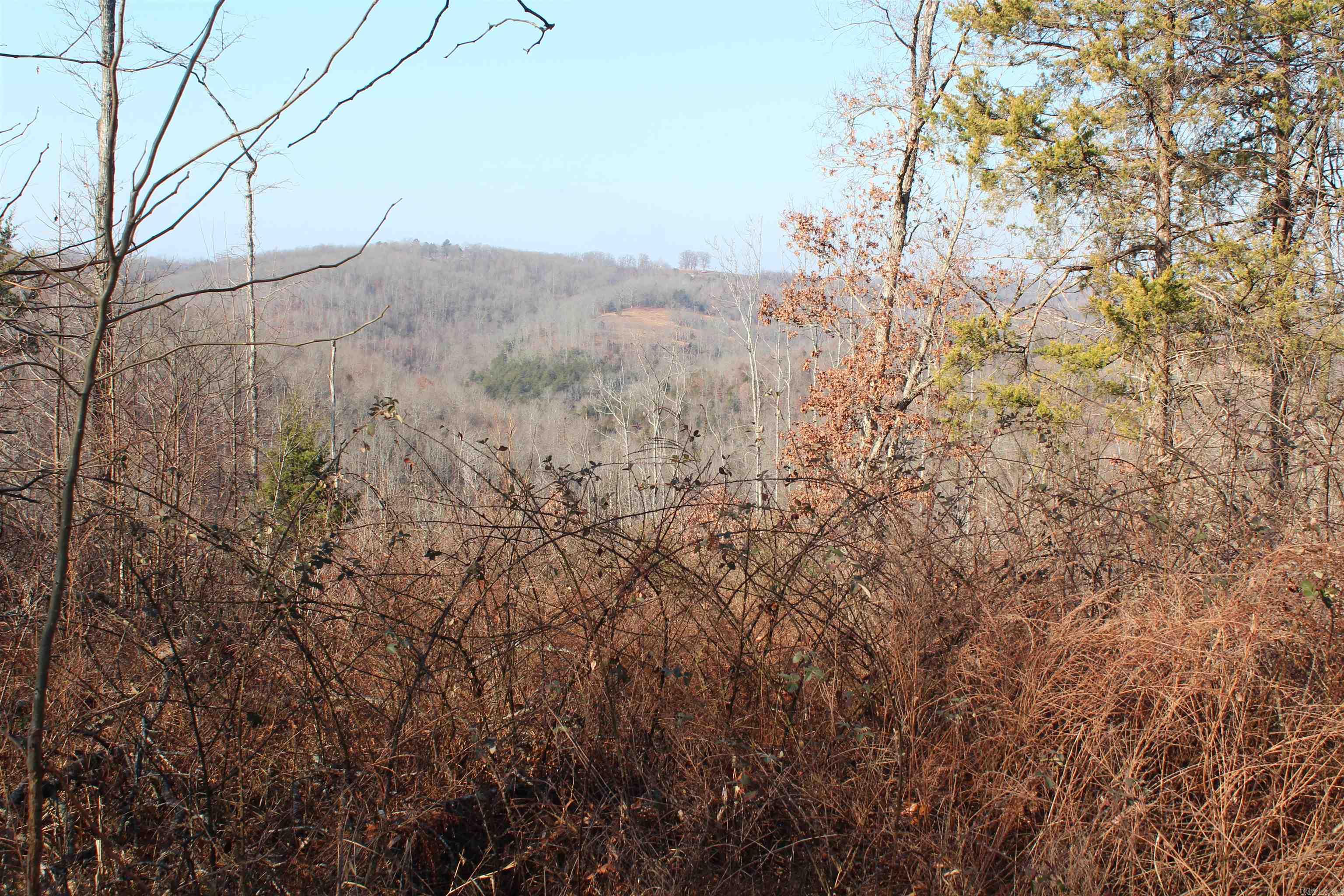 905 Fallen Tree  Marshall, AR