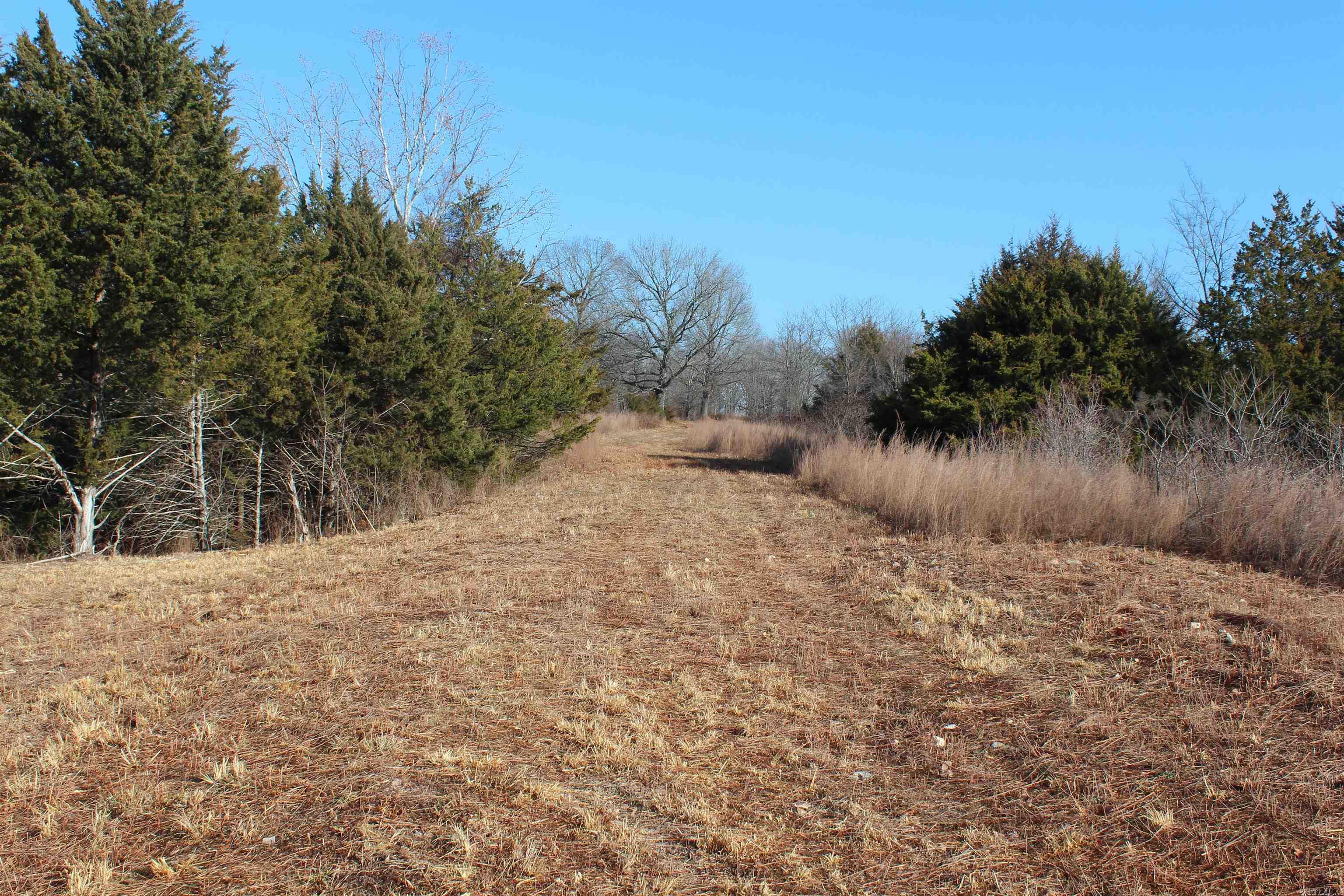 905 Fallen Tree  Marshall, AR