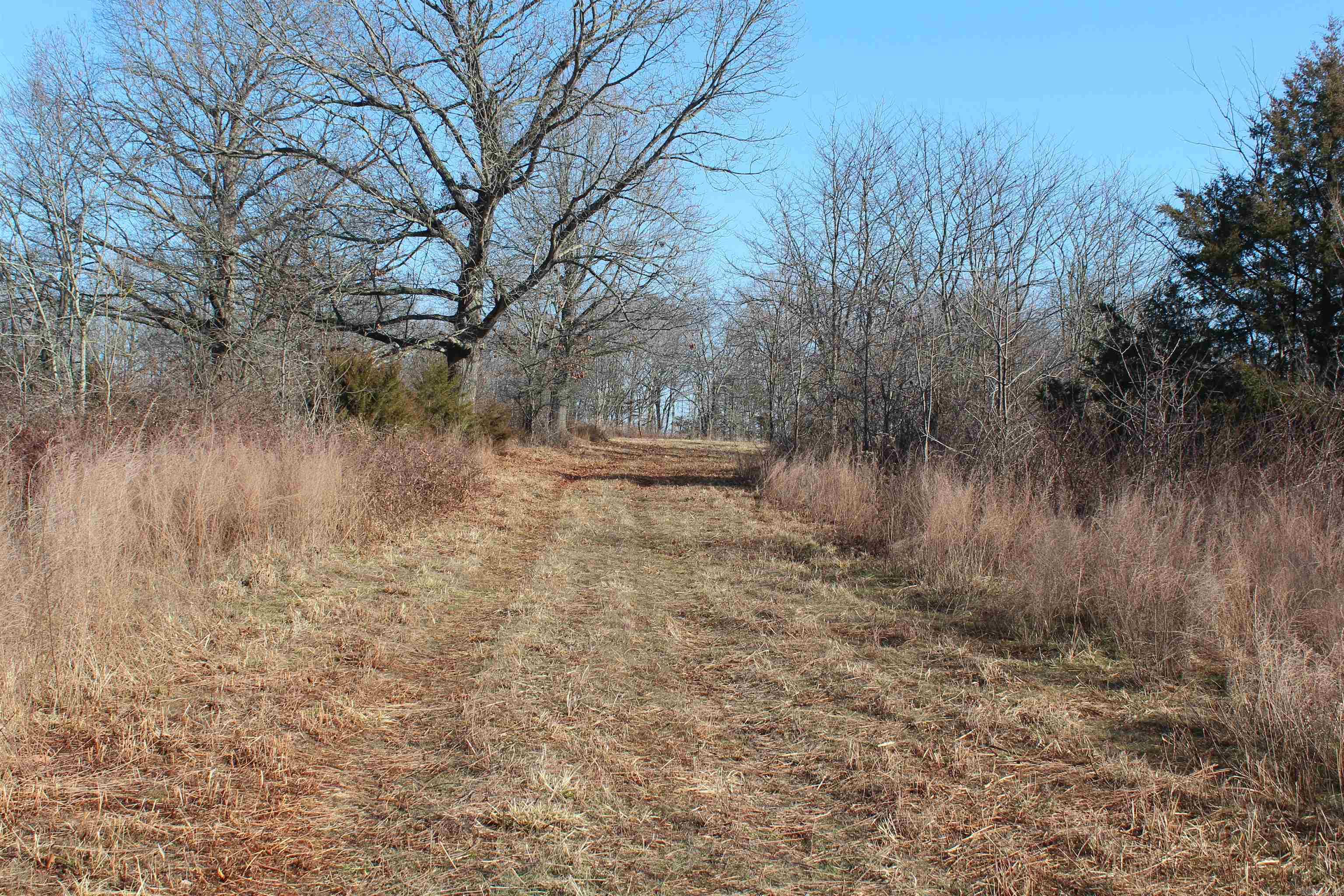 905 Fallen Tree  Marshall, AR