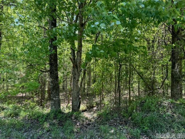 Lot 34 & 35 Brushmountain trail  Little Rock, AR