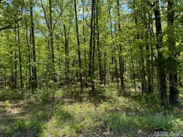 Lot 34 & 35 Brushmountain trail  Little Rock, AR