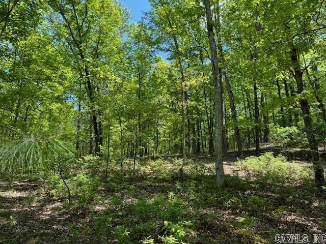 Lot 34 & 35 Brushmountain trail  Little Rock, AR