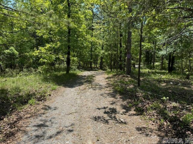 Lot 34 & 35 Brushmountain trail  Little Rock, AR