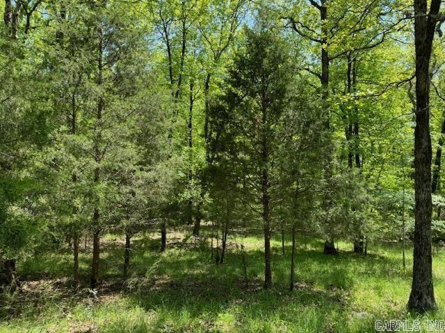 Lot 34 & 35 Brushmountain trail  Little Rock, AR
