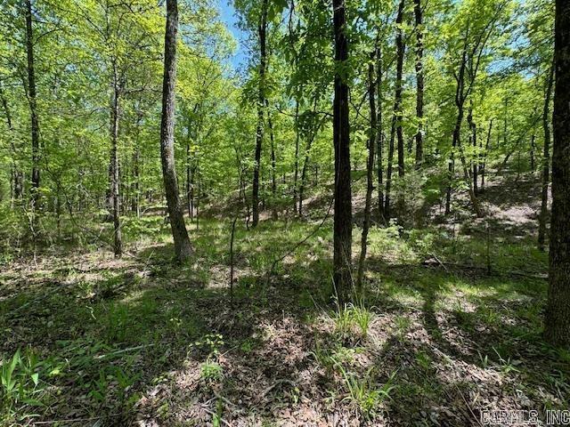 Lot 34 & 35 Brushmountain trail  Little Rock, AR