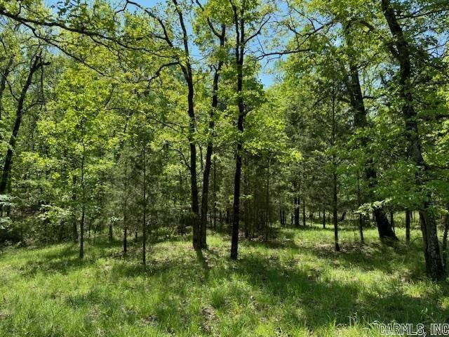 Lot 34 & 35 Brushmountain trail  Little Rock, AR