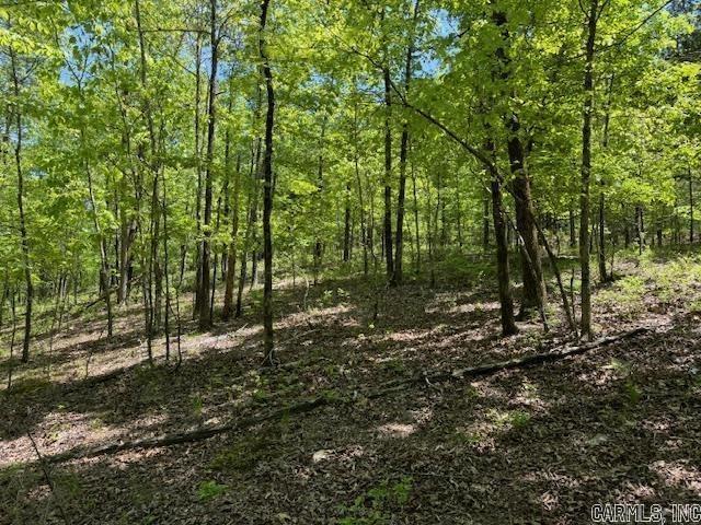 Lot 34 & 35 Brushmountain trail  Little Rock, AR