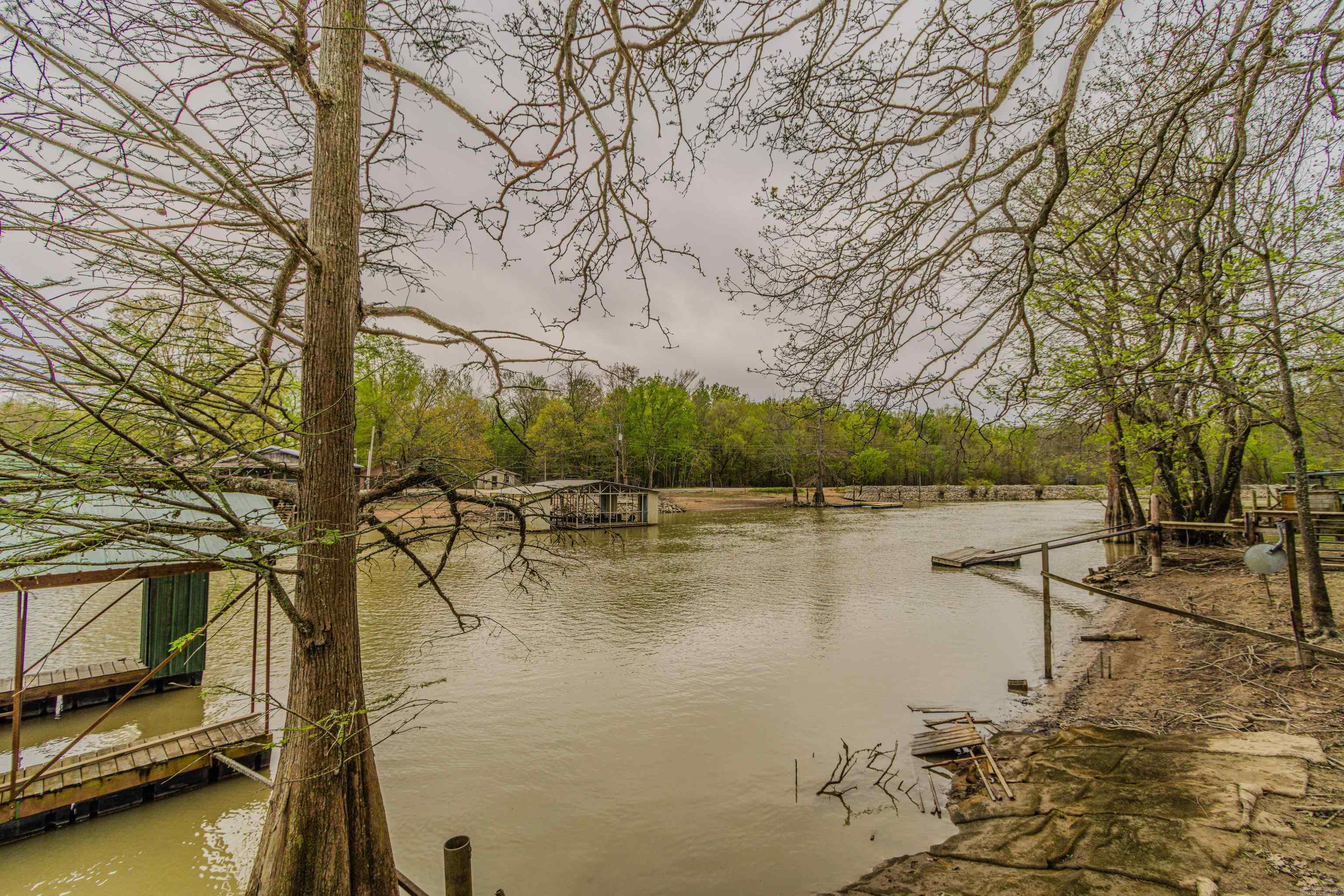 41 Hwy 280 Spur  Peach Orchard, AR