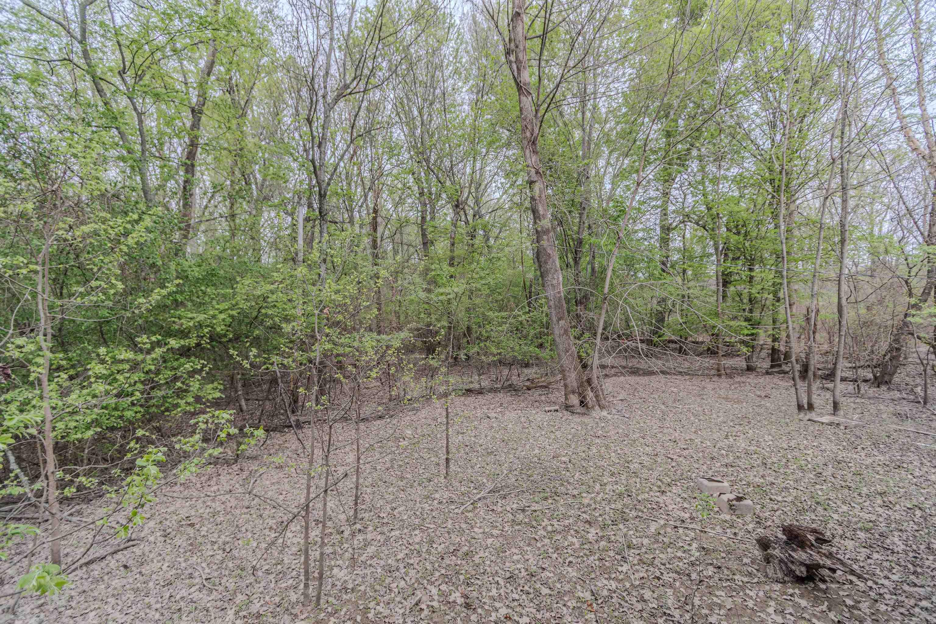 41 Hwy 280 Spur  Peach Orchard, AR