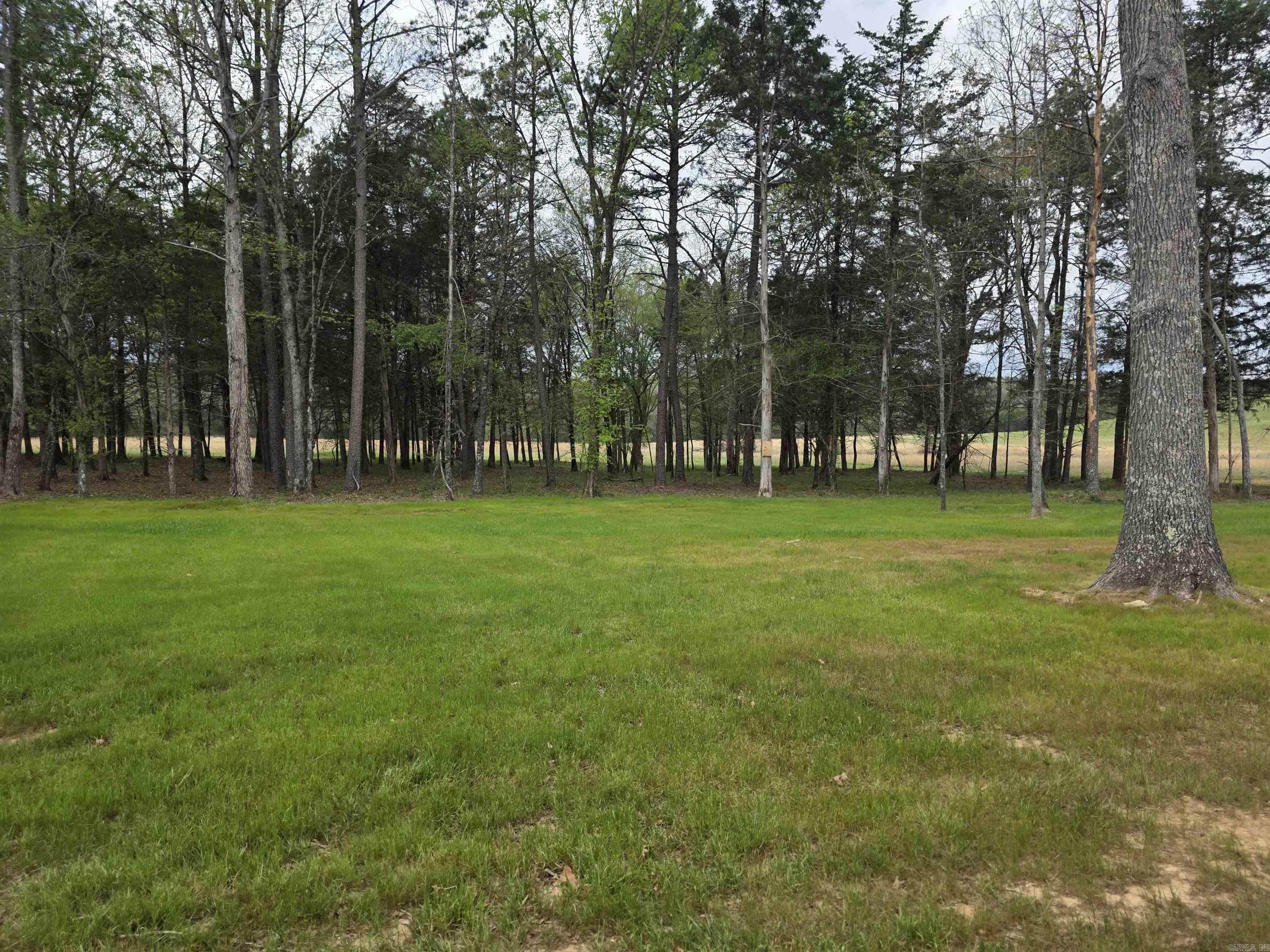 90 Bettis Spur  Quitman, AR