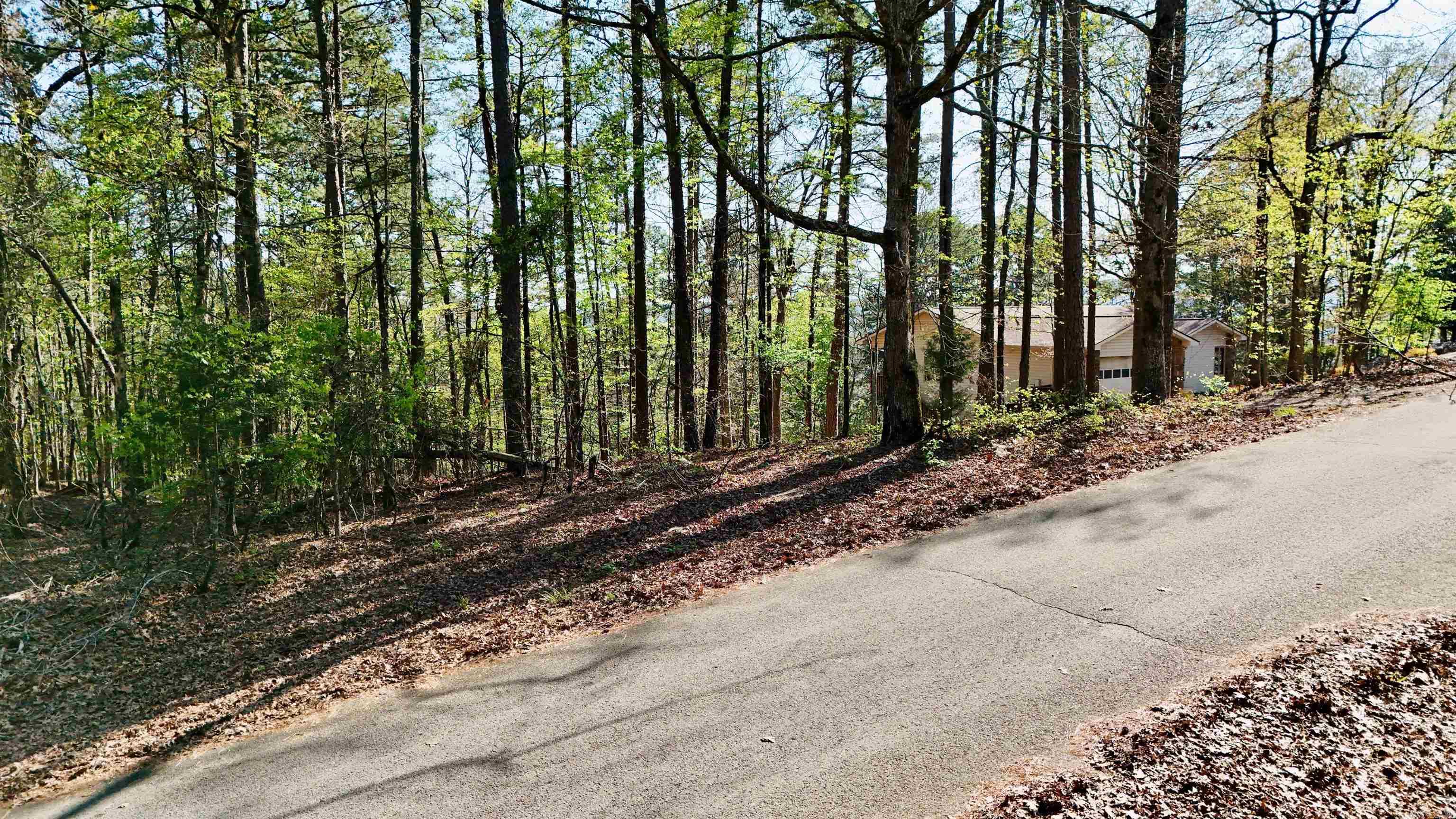 3 Andar  Hot Springs Village, AR