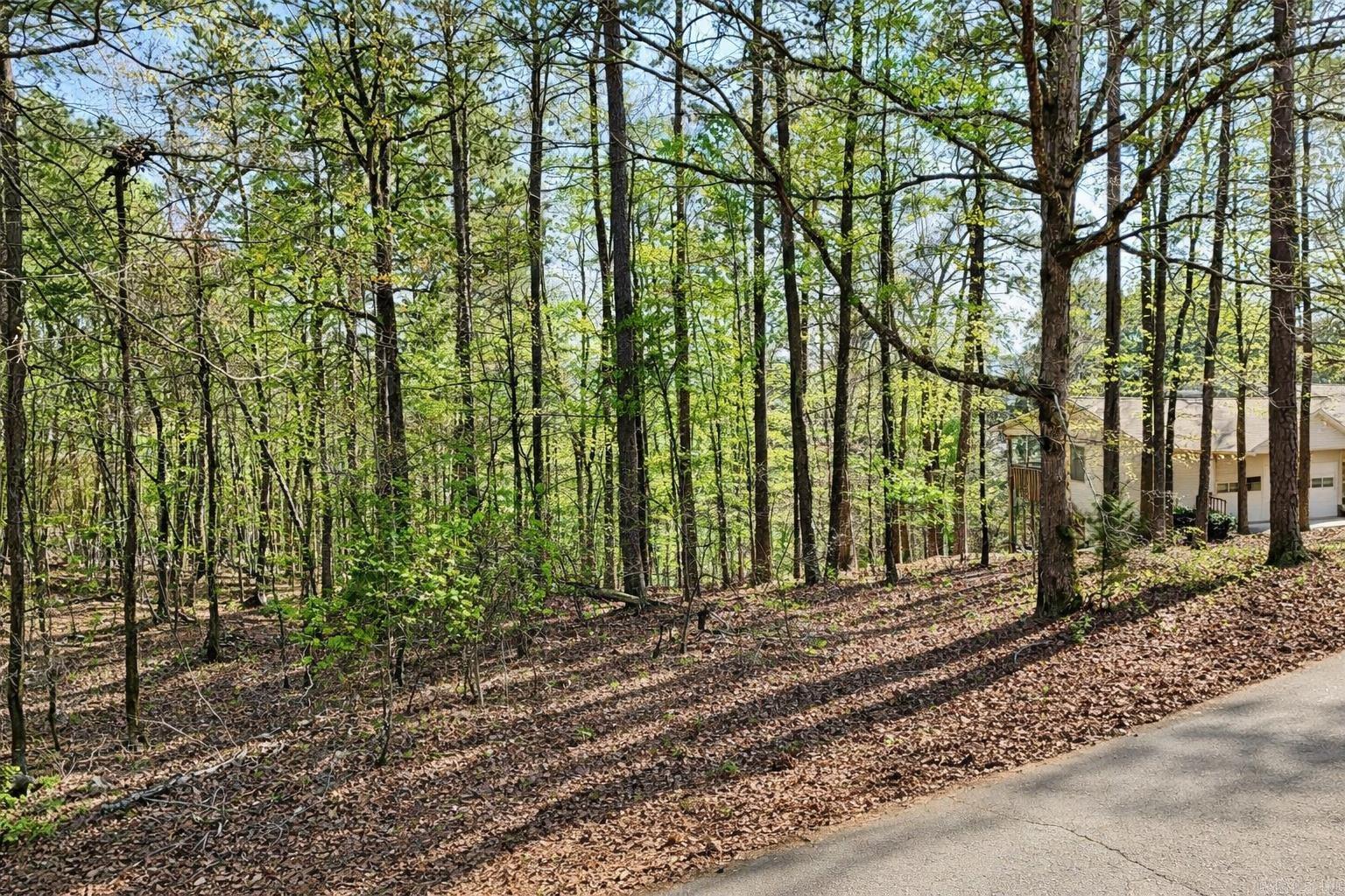 3 Andar  Hot Springs Village, AR