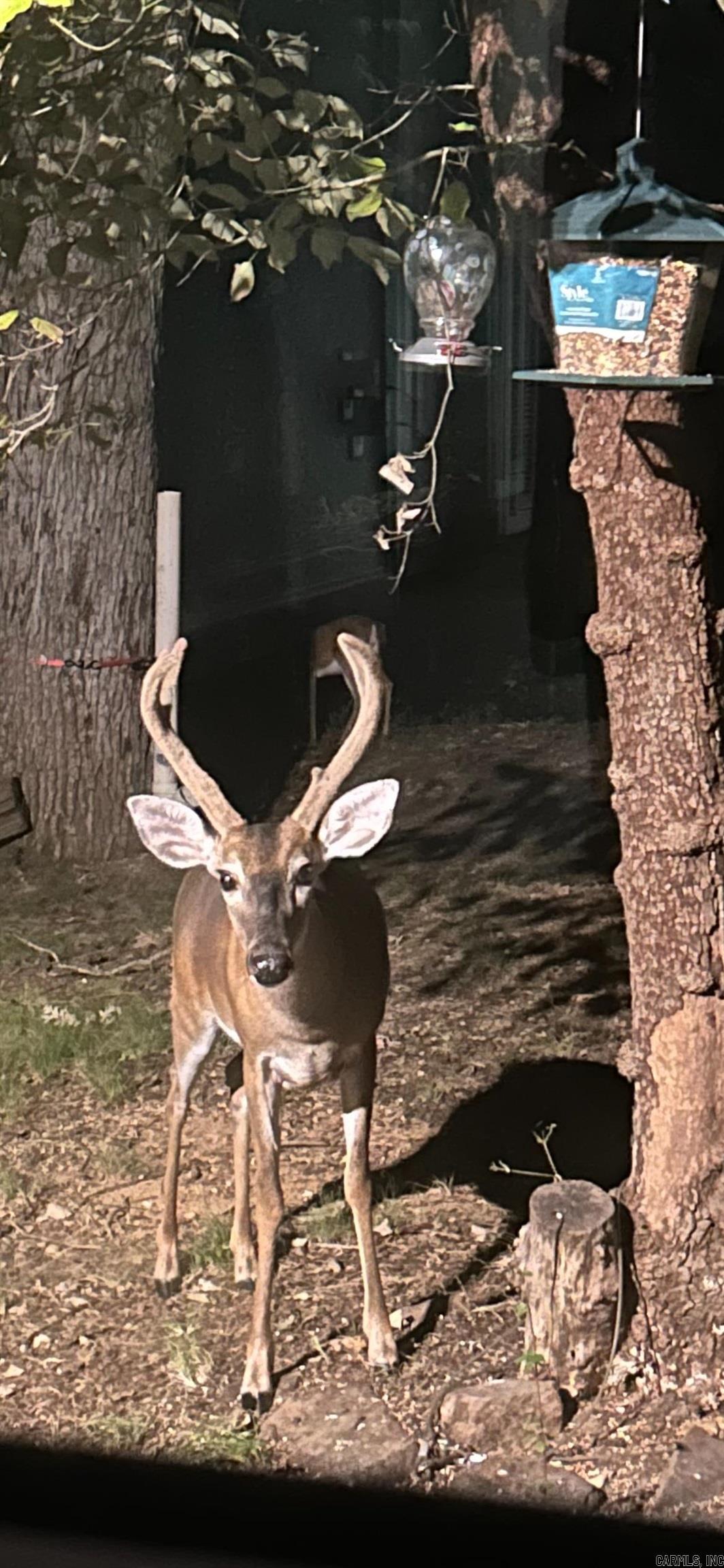 TBD Moss  Benton, AR